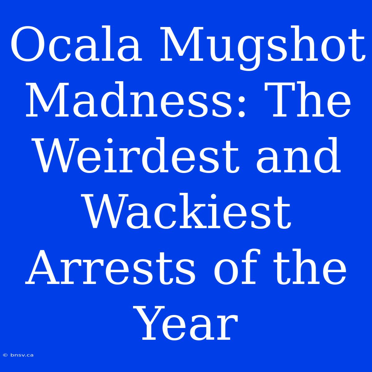 Ocala Mugshot Madness: The Weirdest And Wackiest Arrests Of The Year