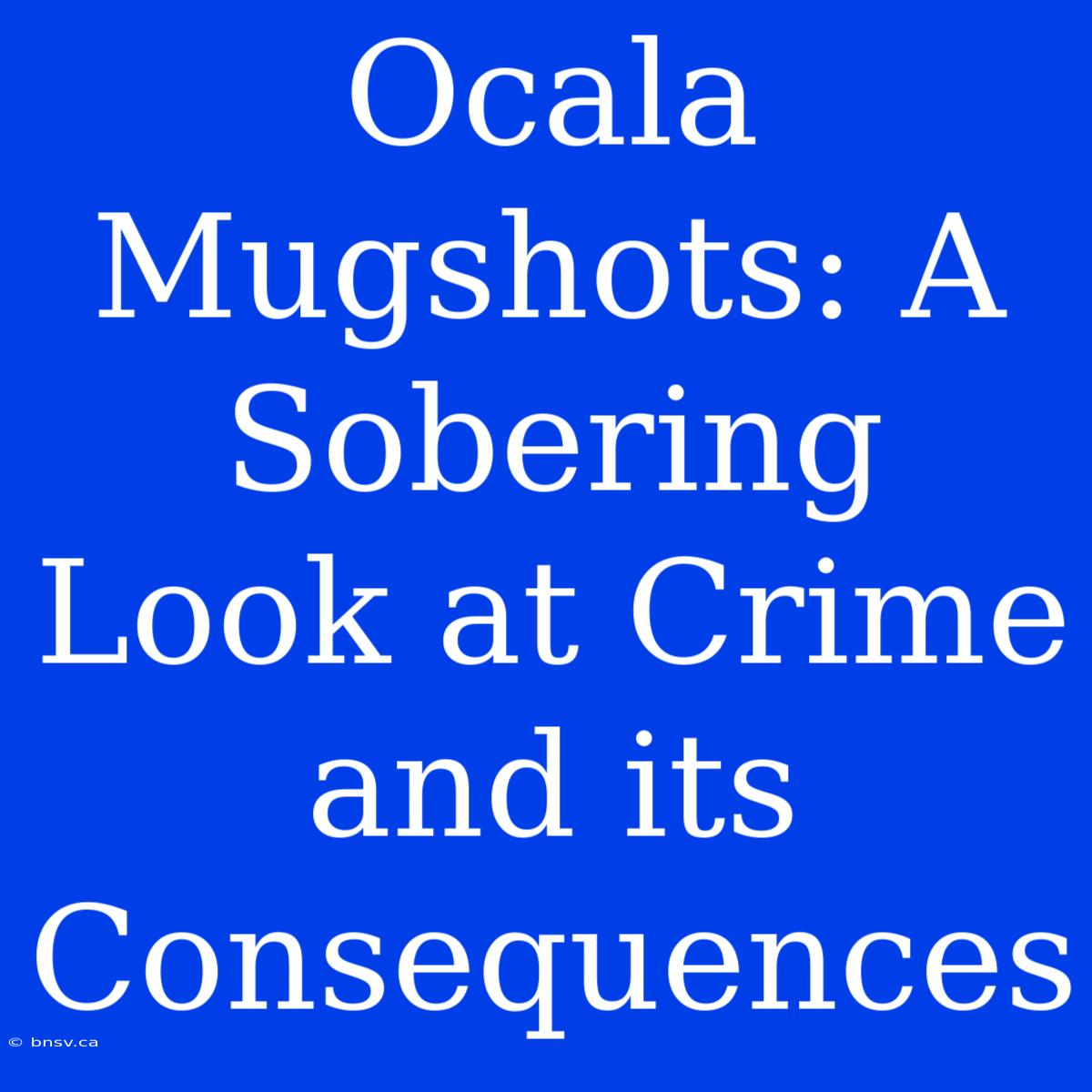 Ocala Mugshots: A Sobering Look At Crime And Its Consequences