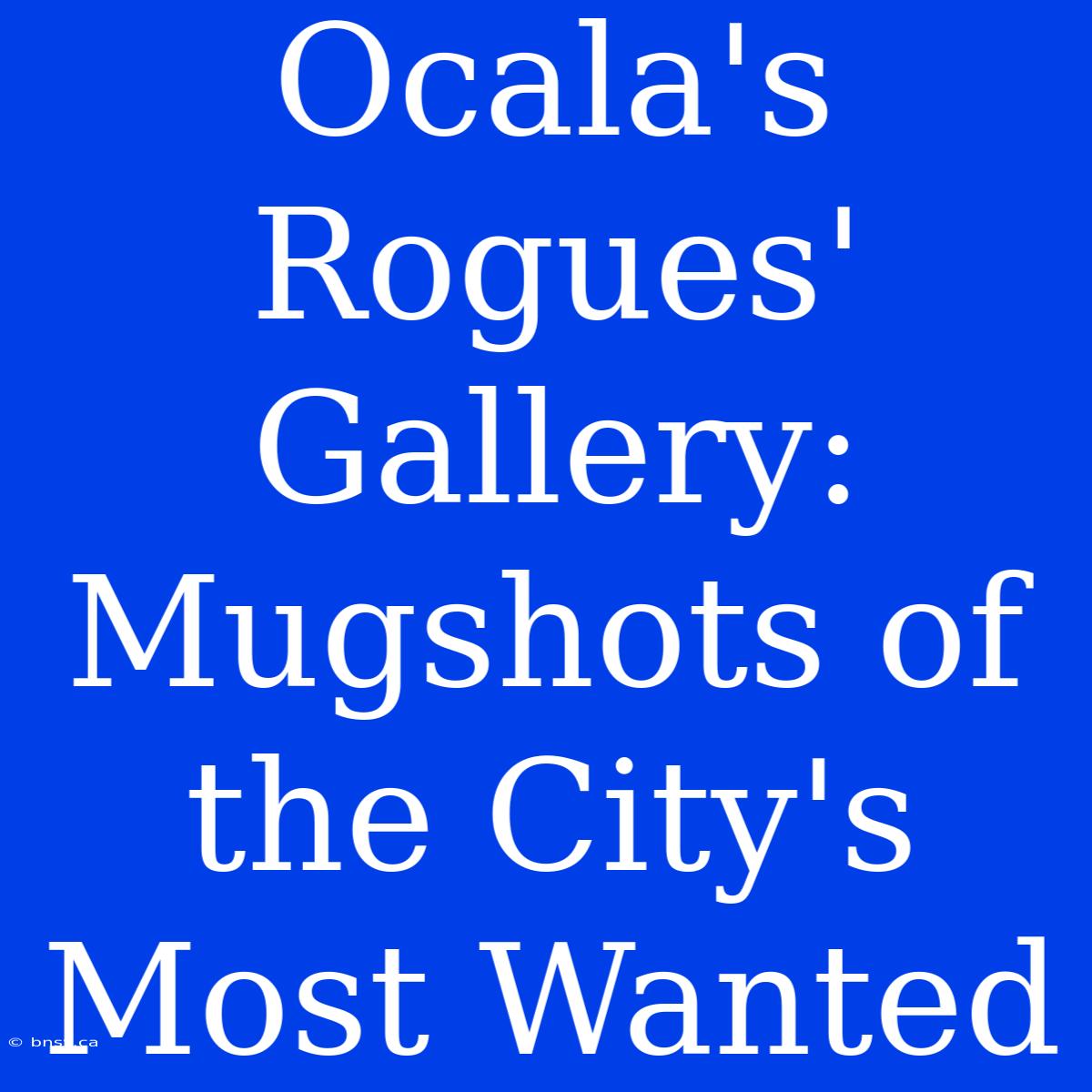 Ocala's Rogues' Gallery: Mugshots Of The City's Most Wanted