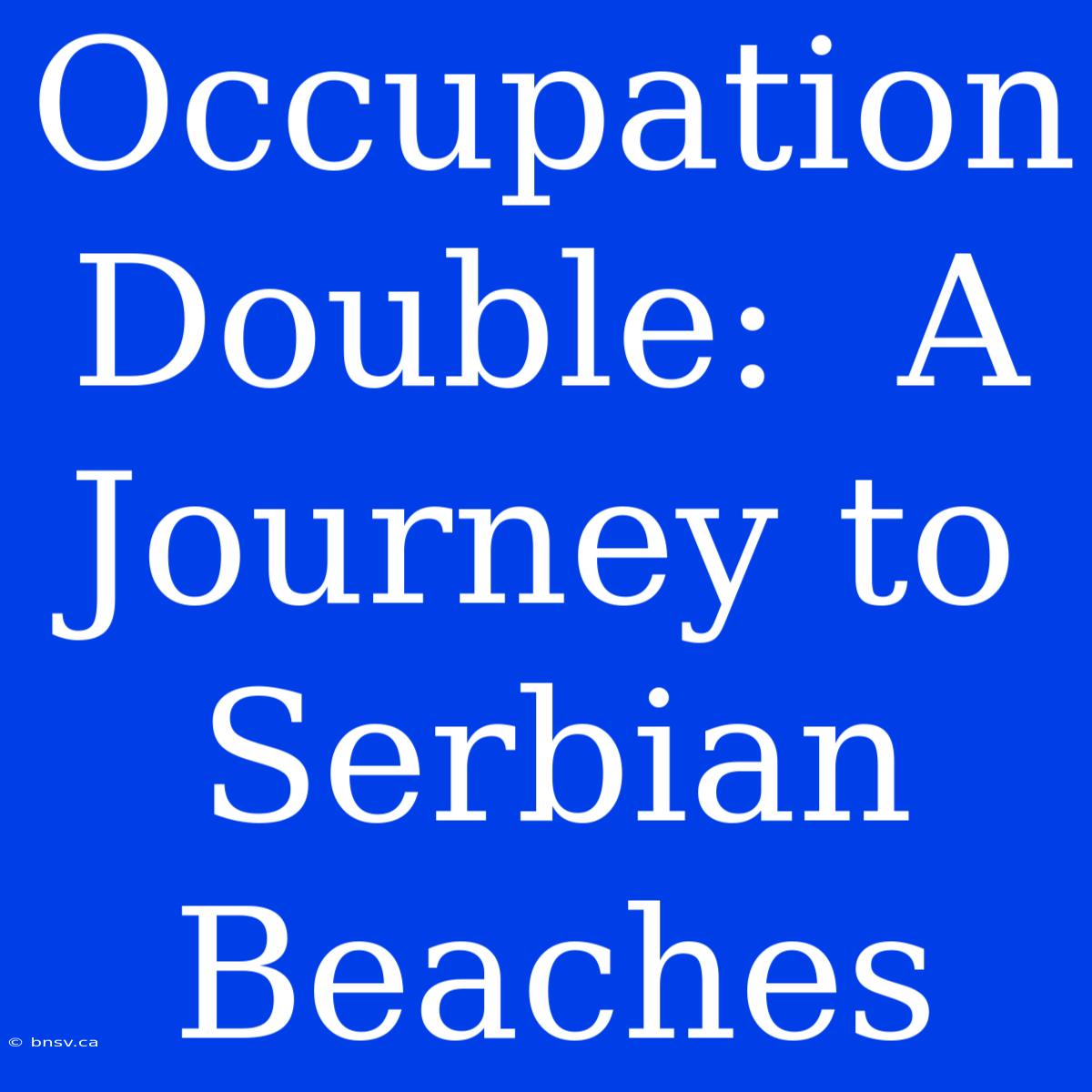 Occupation Double:  A Journey To Serbian Beaches