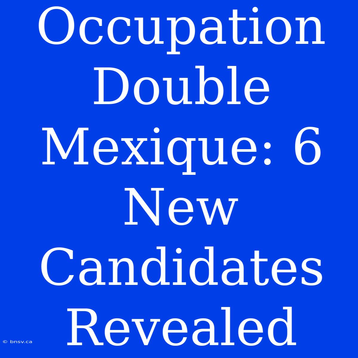 Occupation Double Mexique: 6 New Candidates Revealed