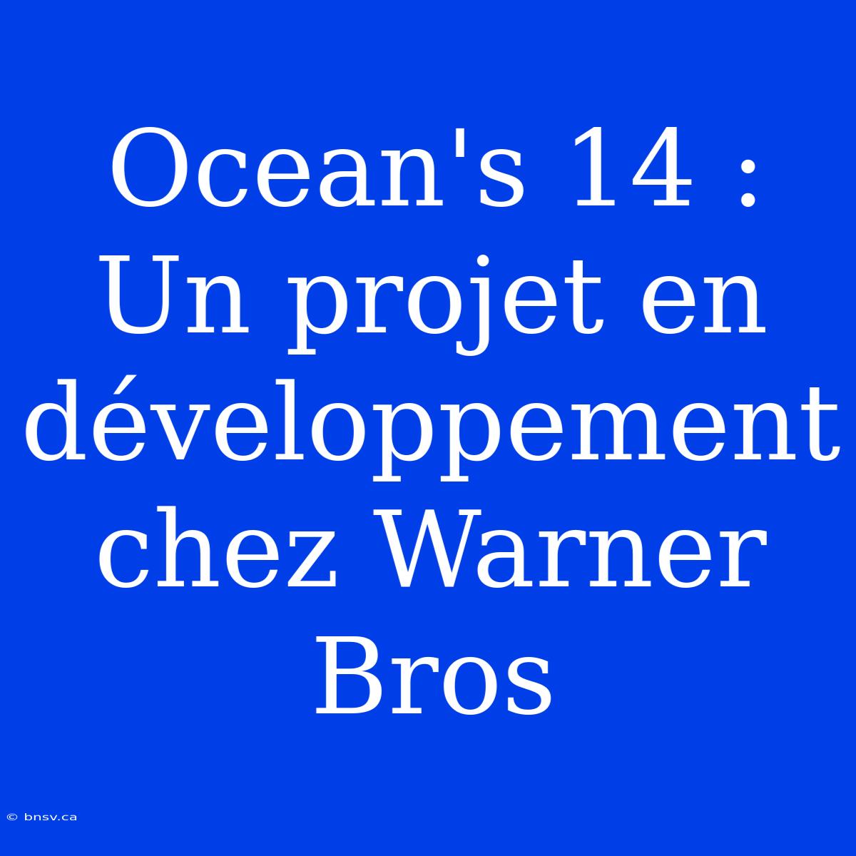 Ocean's 14 : Un Projet En Développement Chez Warner Bros