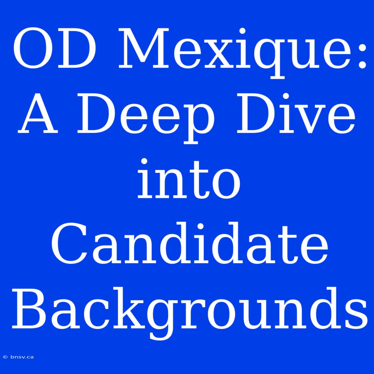 OD Mexique:  A Deep Dive Into Candidate Backgrounds