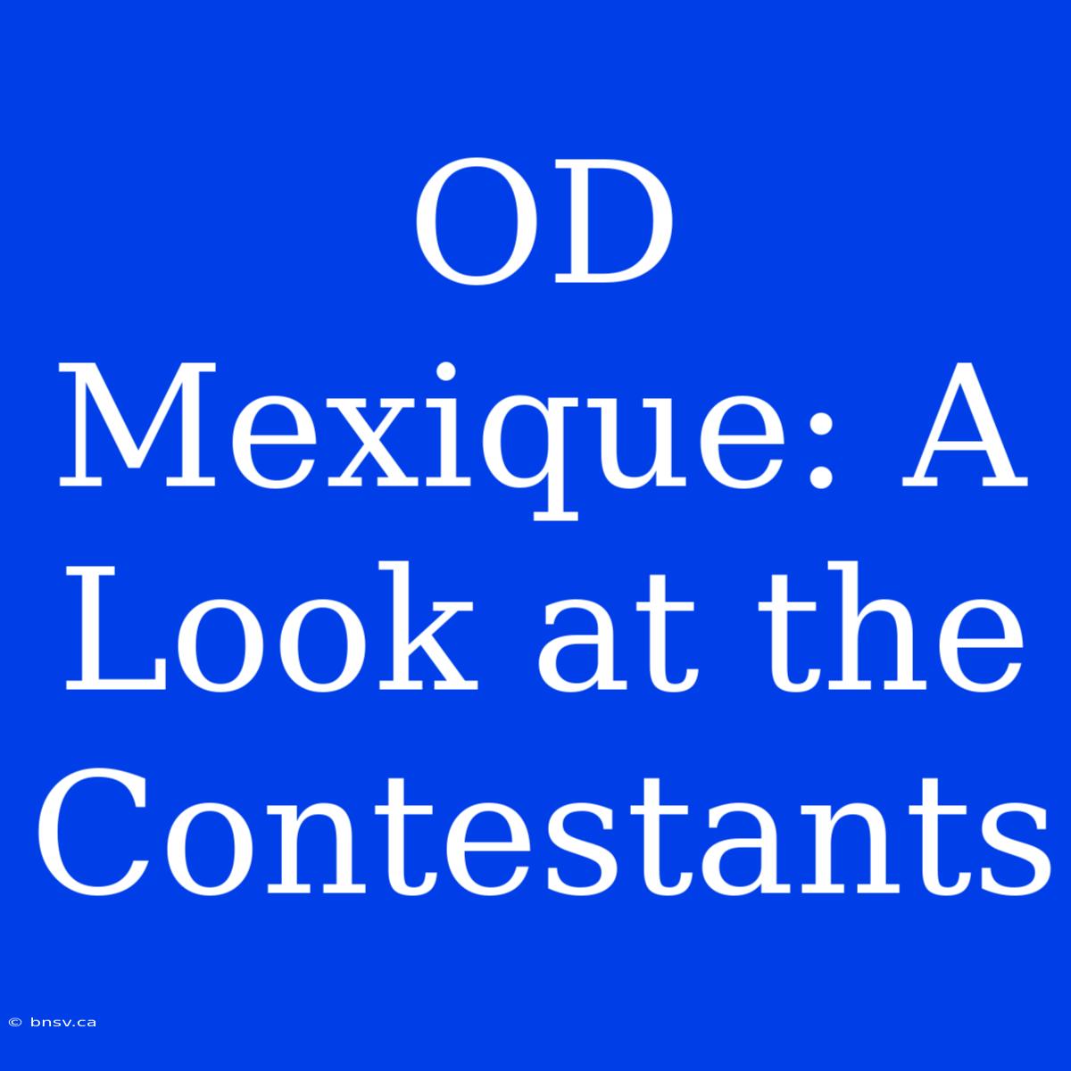 OD Mexique: A Look At The Contestants