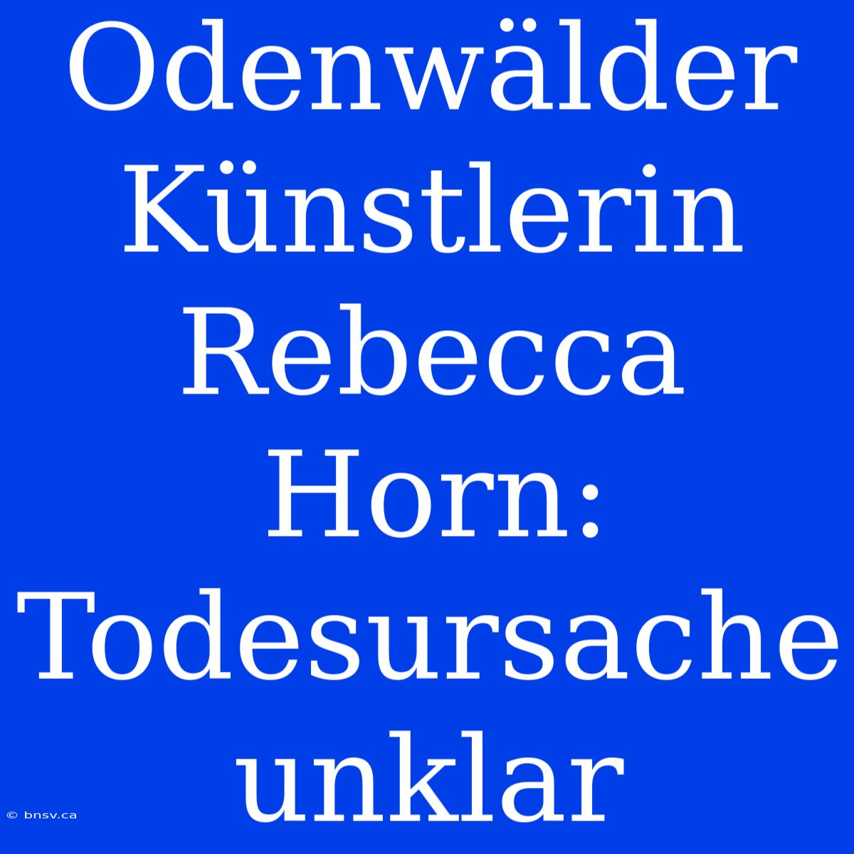 Odenwälder Künstlerin Rebecca Horn: Todesursache Unklar