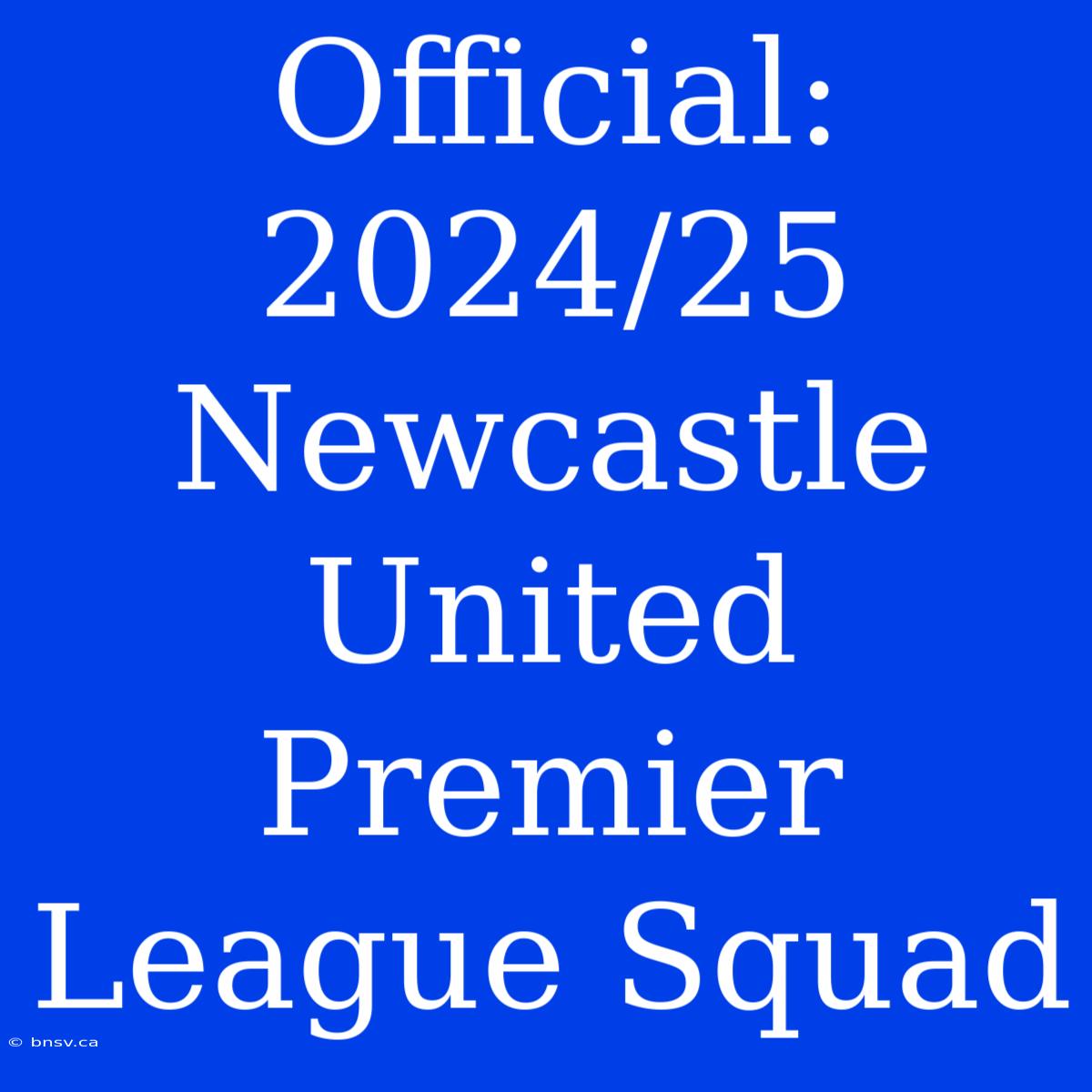 Official: 2024/25 Newcastle United Premier League Squad