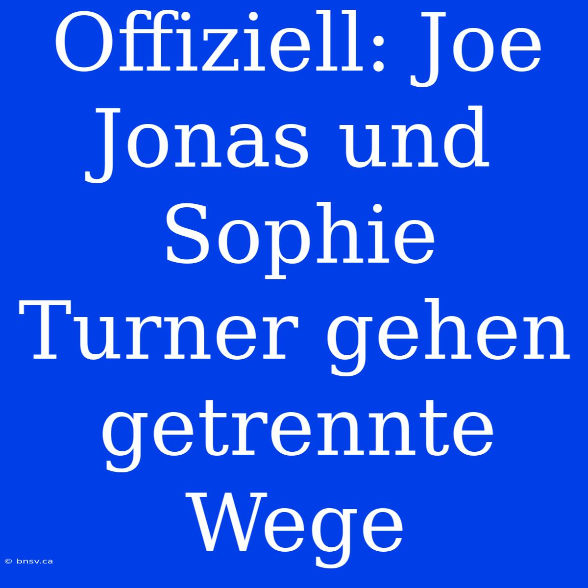 Offiziell: Joe Jonas Und Sophie Turner Gehen Getrennte Wege