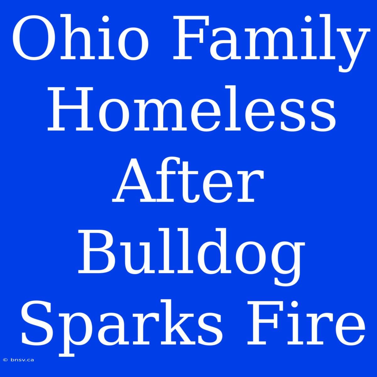 Ohio Family Homeless After Bulldog Sparks Fire