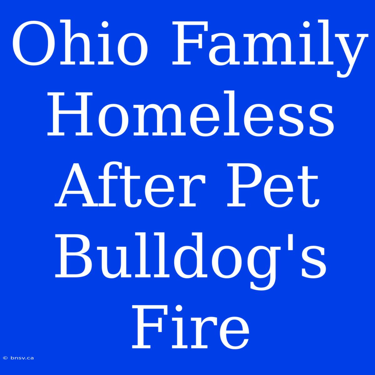 Ohio Family Homeless After Pet Bulldog's Fire