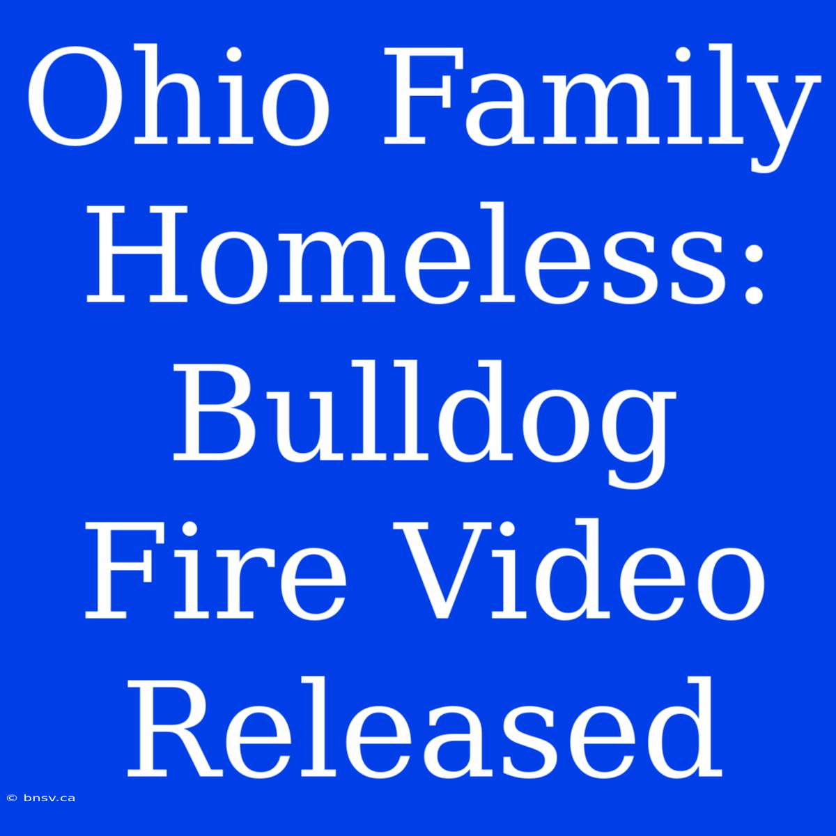 Ohio Family Homeless: Bulldog Fire Video Released