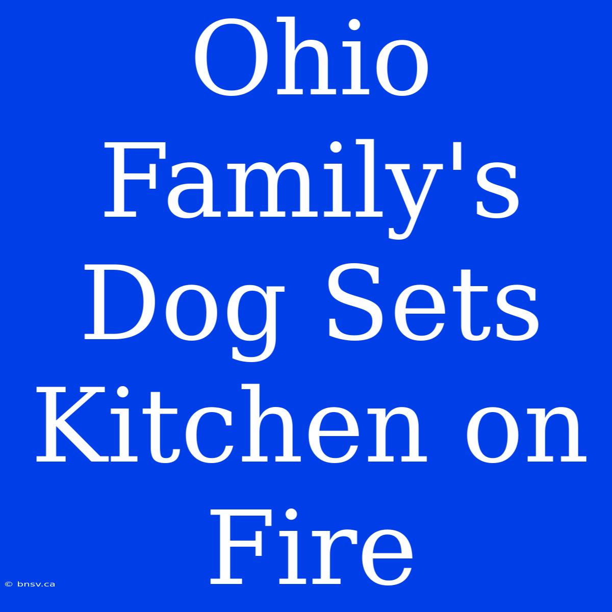 Ohio Family's Dog Sets Kitchen On Fire