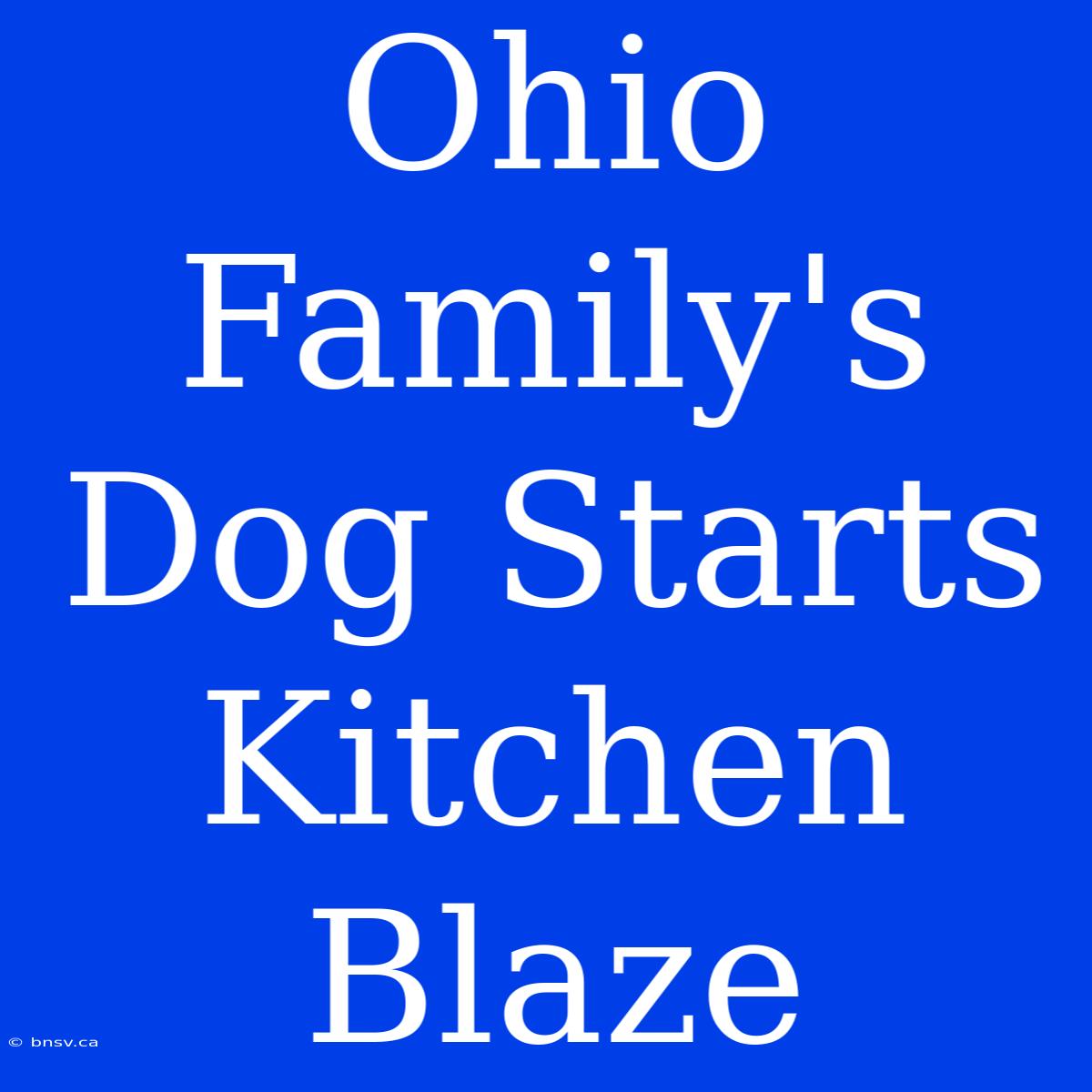 Ohio Family's Dog Starts Kitchen Blaze