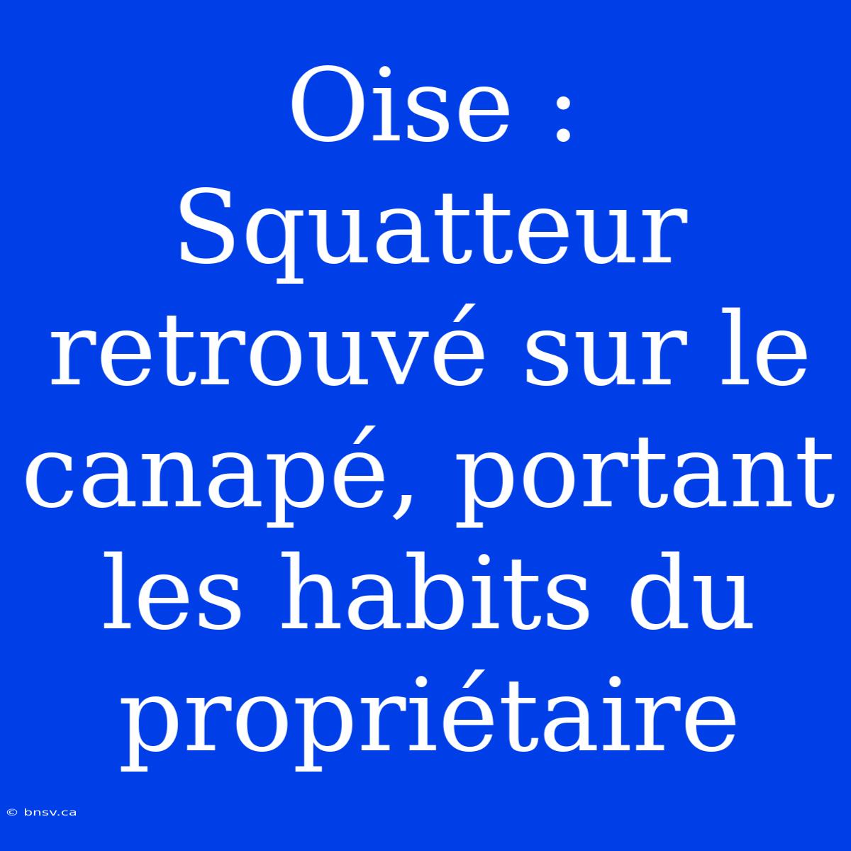 Oise : Squatteur Retrouvé Sur Le Canapé, Portant Les Habits Du Propriétaire