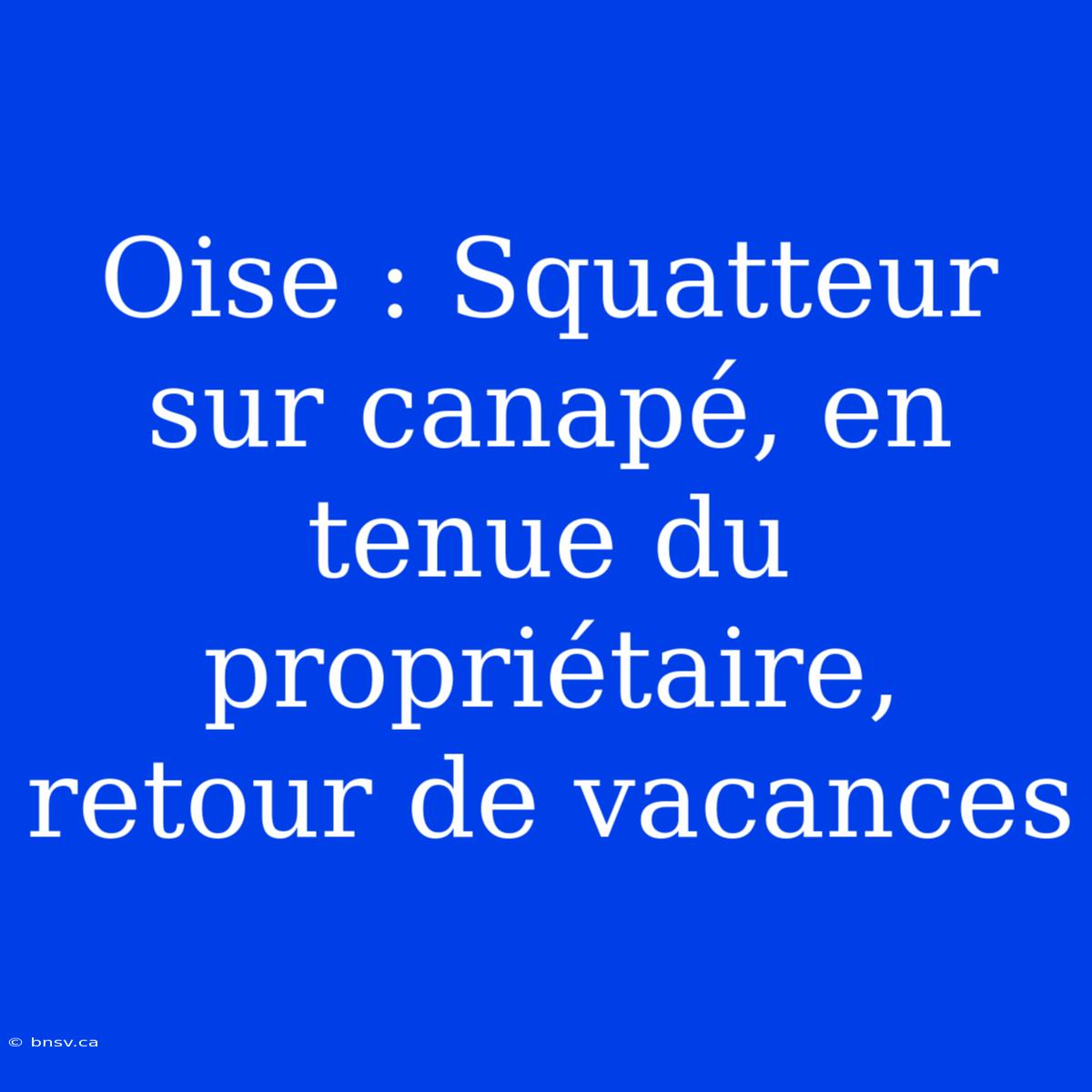 Oise : Squatteur Sur Canapé, En Tenue Du Propriétaire, Retour De Vacances