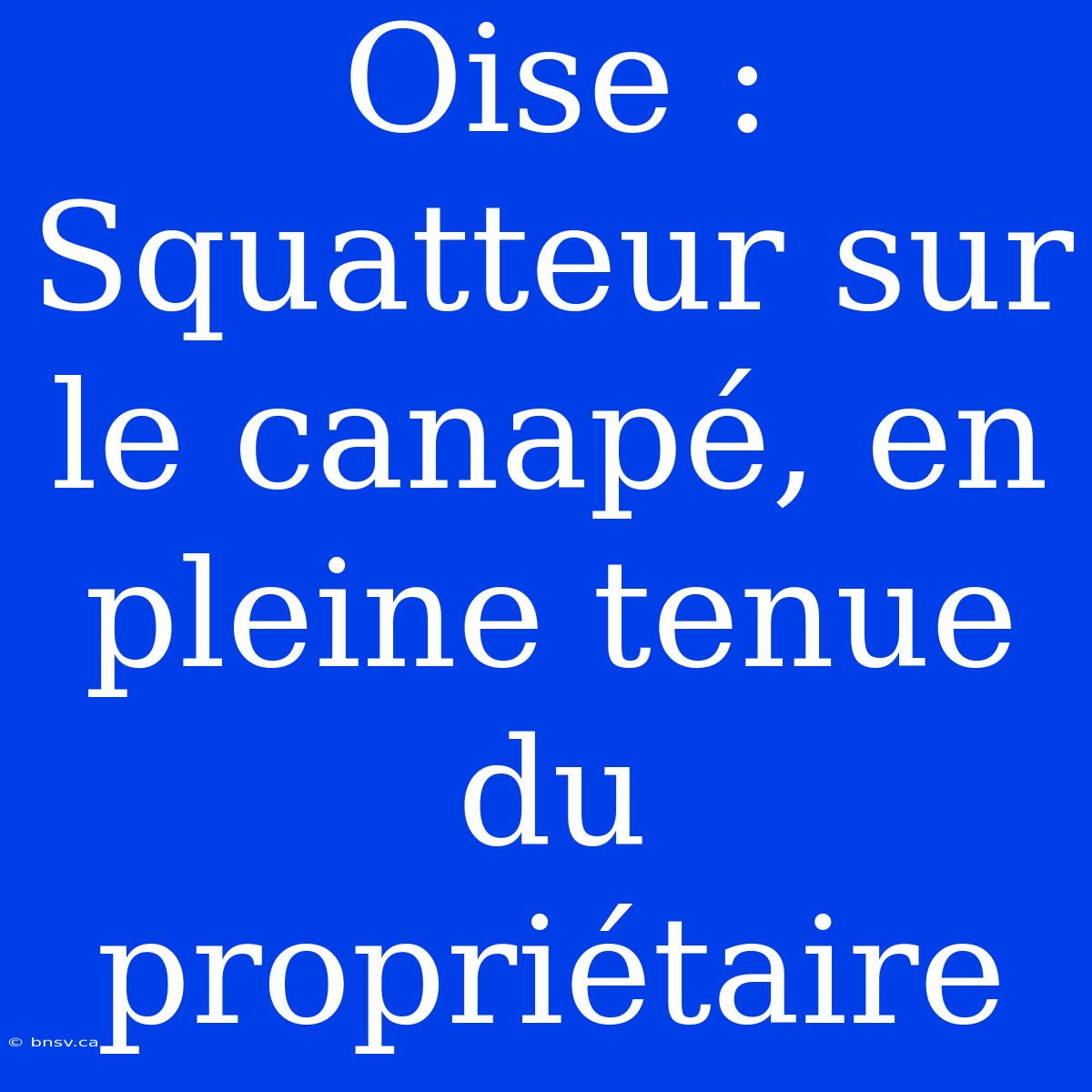 Oise : Squatteur Sur Le Canapé, En Pleine Tenue Du Propriétaire