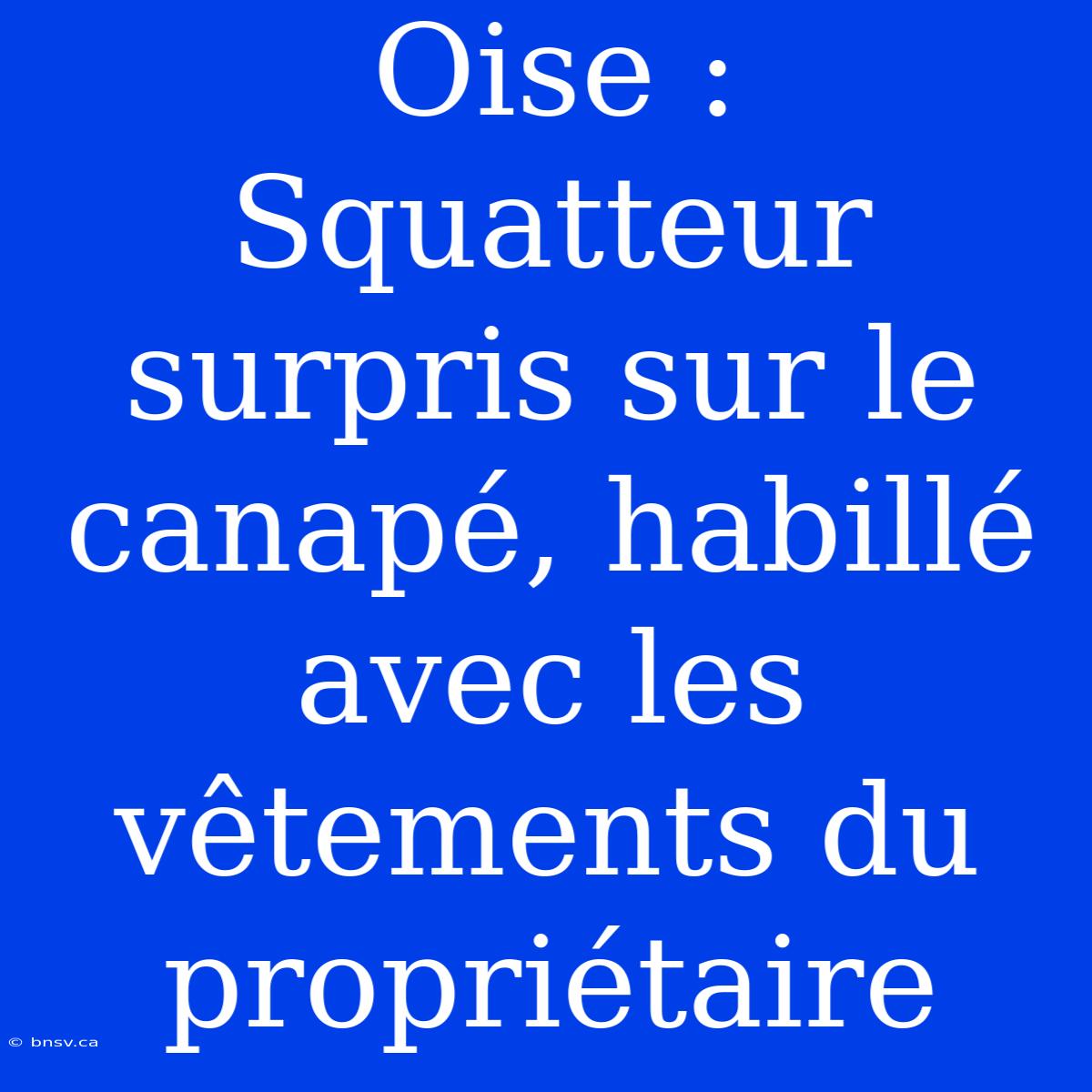 Oise : Squatteur Surpris Sur Le Canapé, Habillé Avec Les Vêtements Du Propriétaire