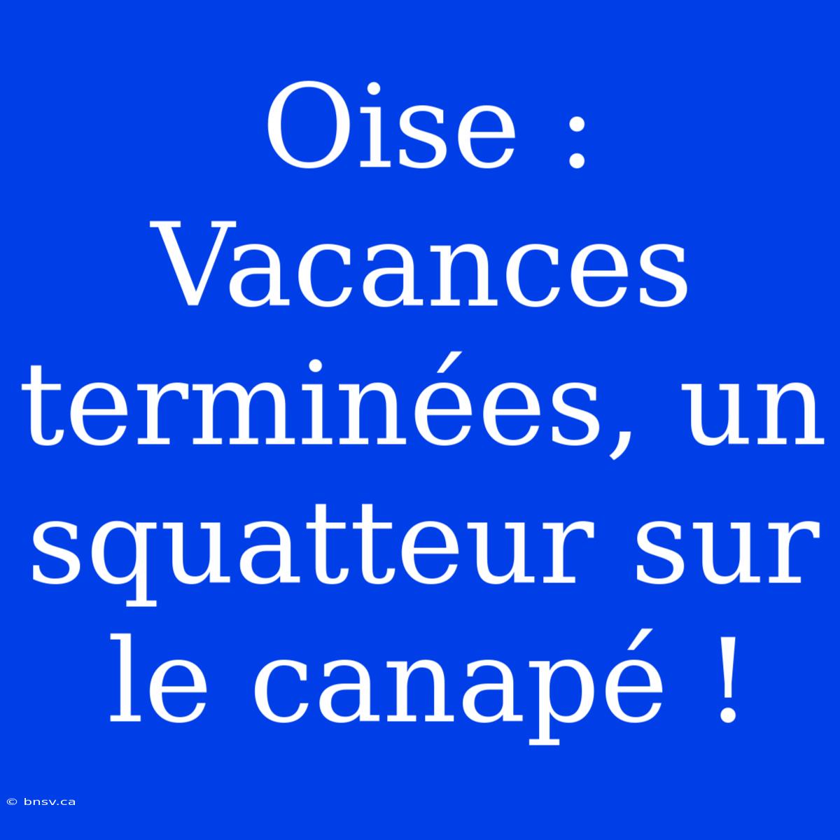 Oise : Vacances Terminées, Un Squatteur Sur Le Canapé !