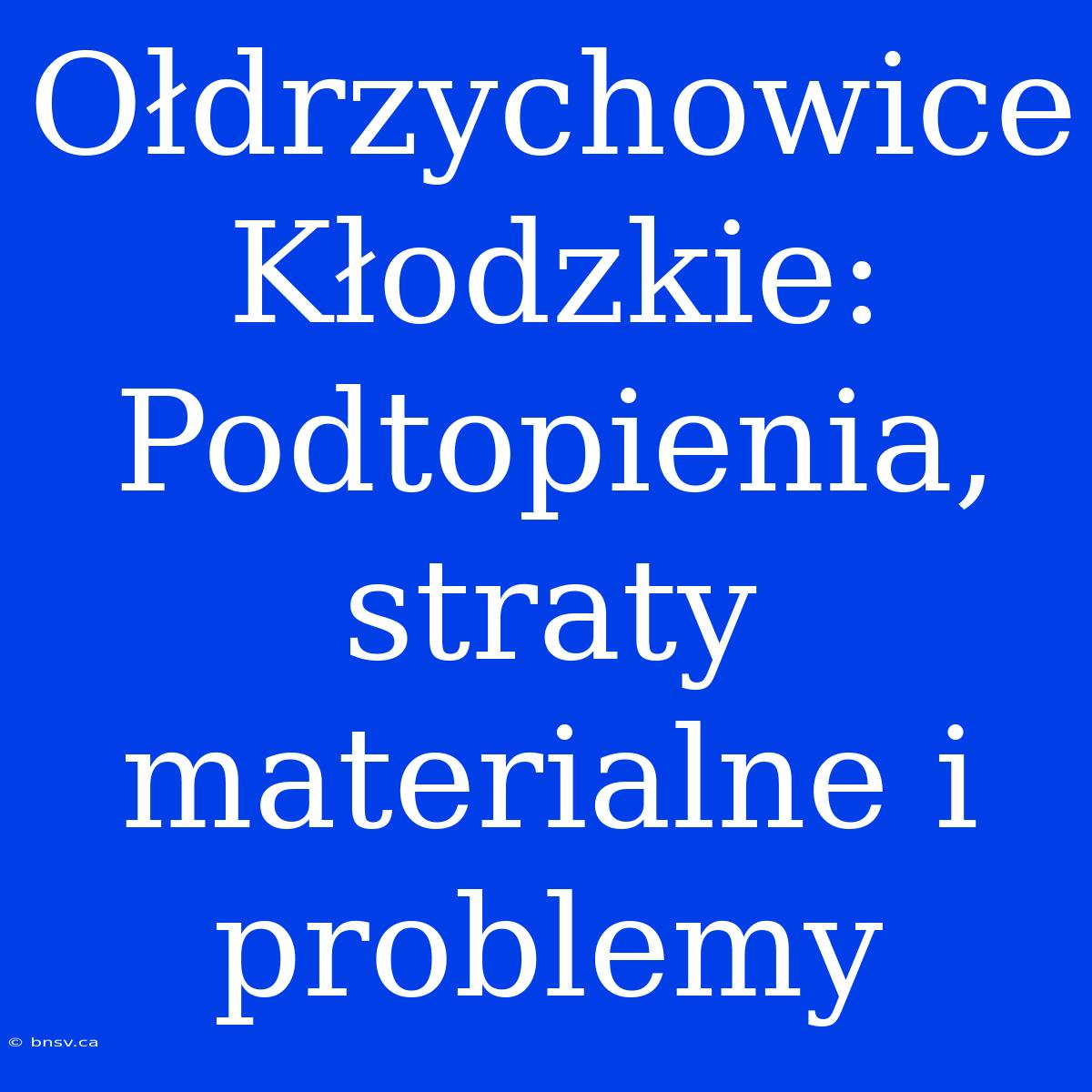 Ołdrzychowice Kłodzkie: Podtopienia, Straty Materialne I Problemy