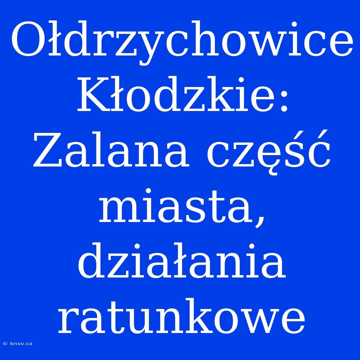 Ołdrzychowice Kłodzkie: Zalana Część Miasta, Działania Ratunkowe