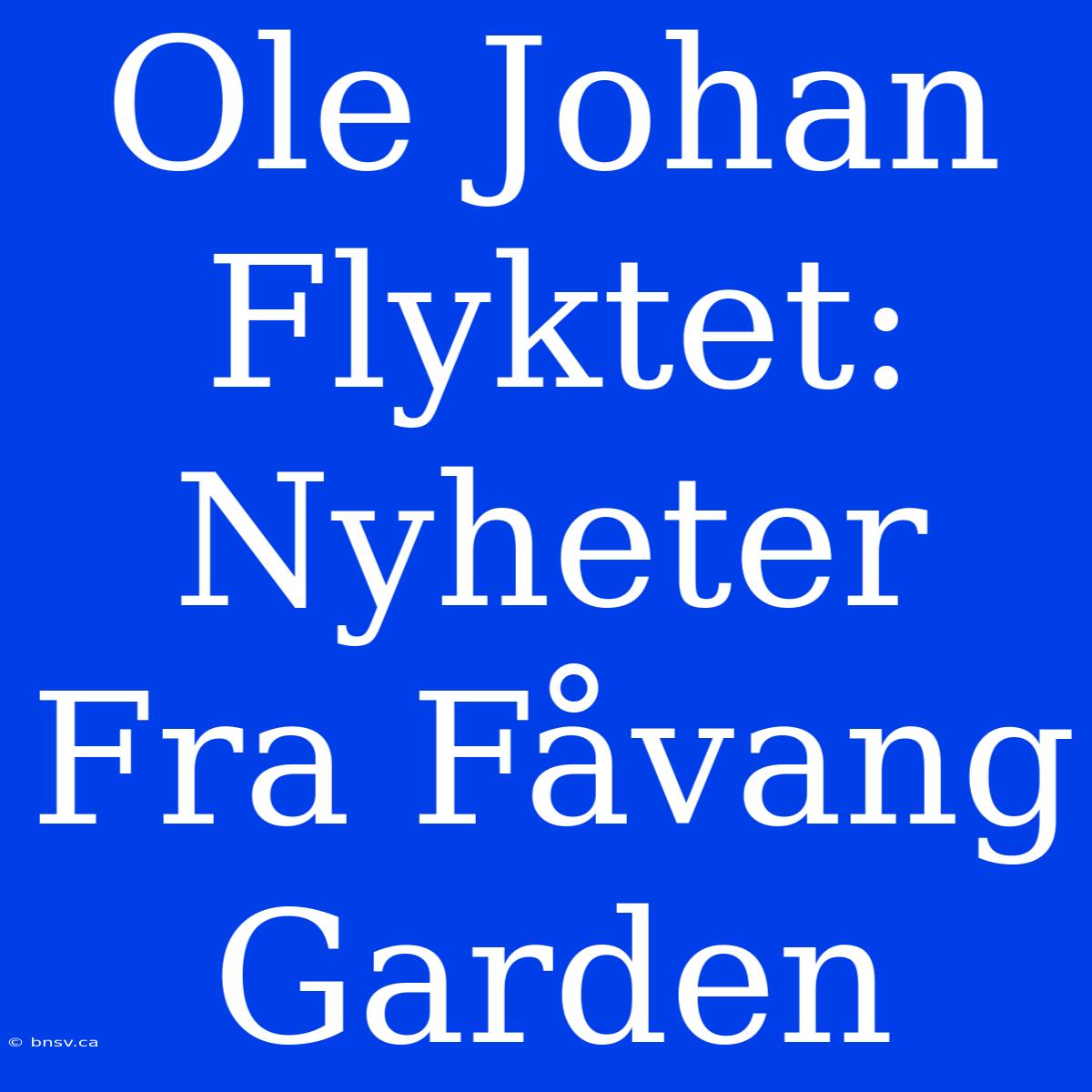 Ole Johan Flyktet: Nyheter Fra Fåvang Garden