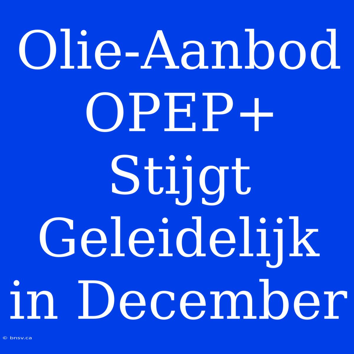 Olie-Aanbod OPEP+ Stijgt Geleidelijk In December