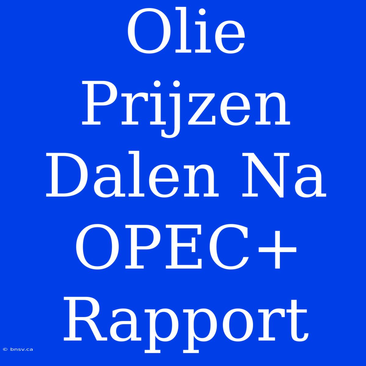 Olie Prijzen Dalen Na OPEC+ Rapport