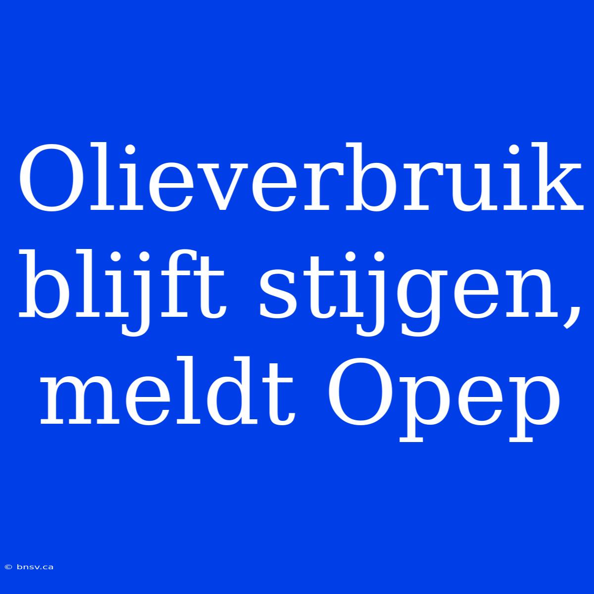 Olieverbruik Blijft Stijgen, Meldt Opep