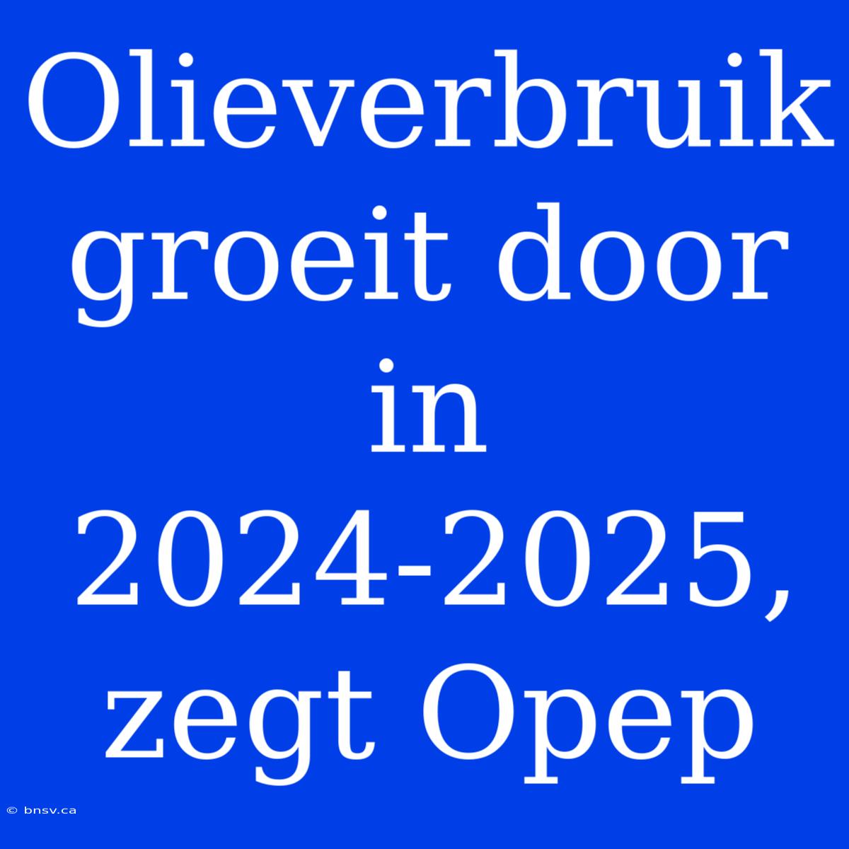 Olieverbruik Groeit Door In 2024-2025, Zegt Opep