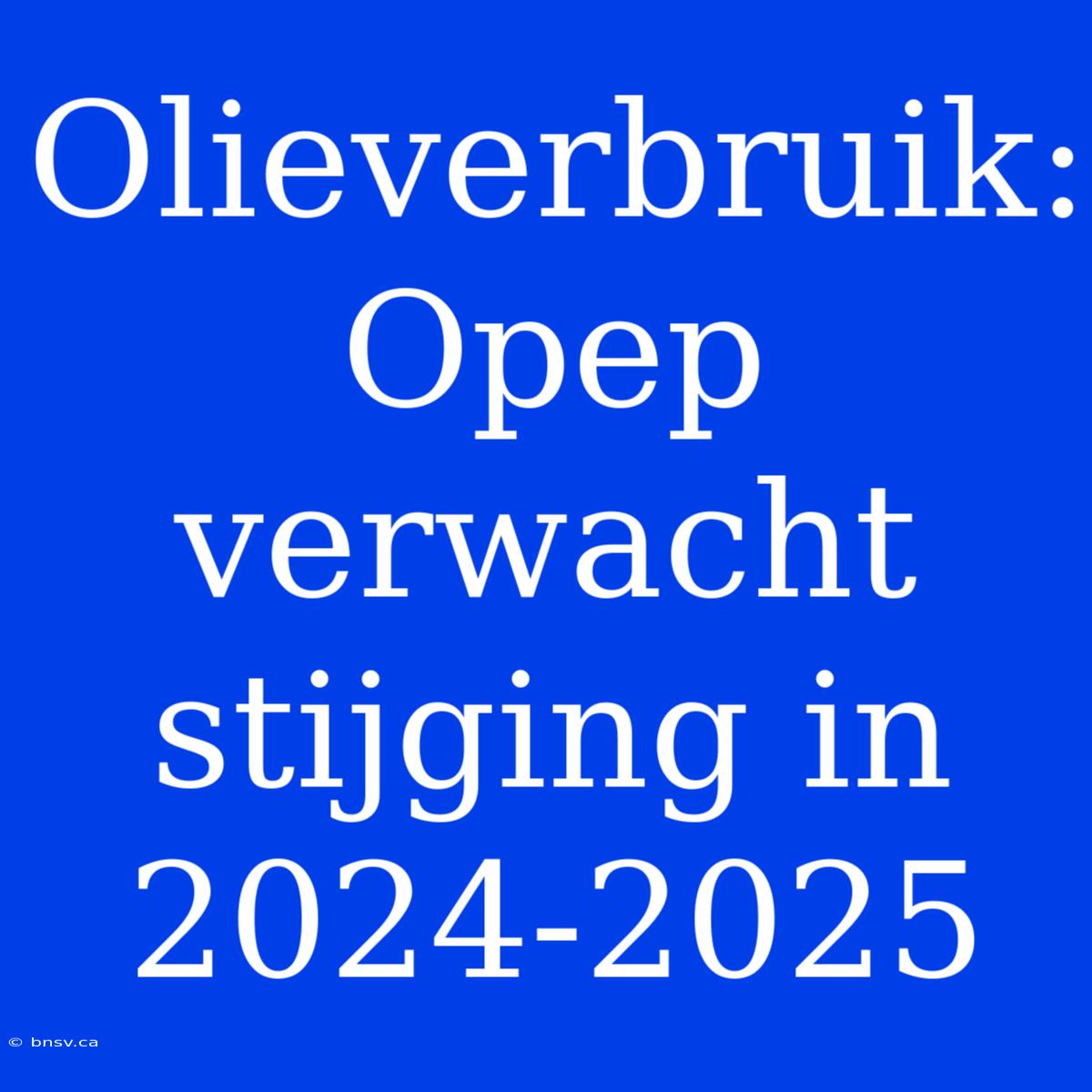 Olieverbruik: Opep Verwacht Stijging In 2024-2025