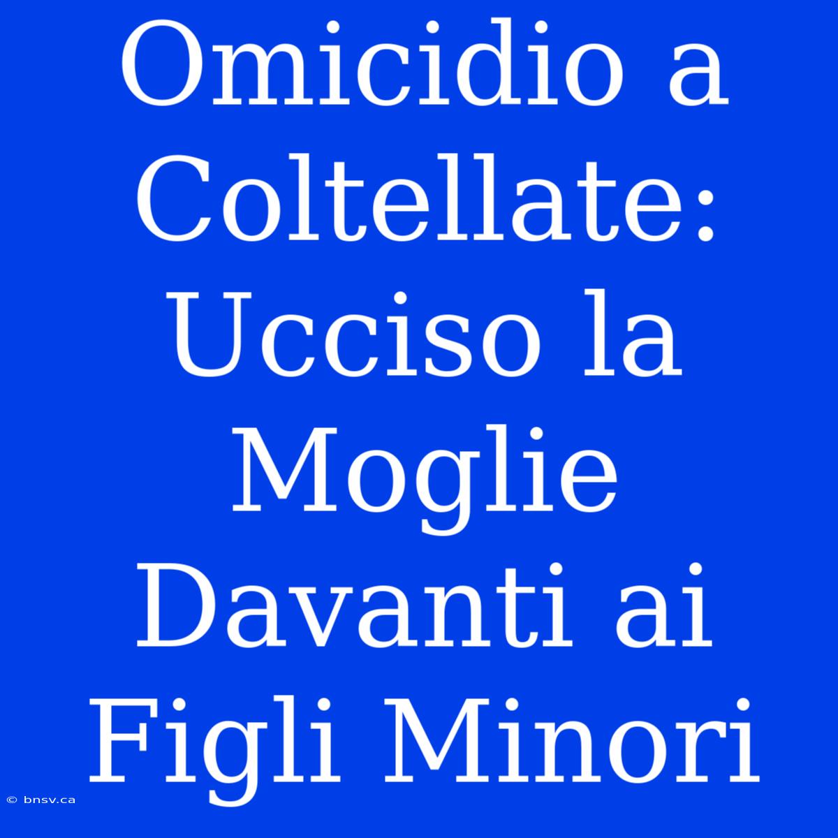 Omicidio A Coltellate: Ucciso La Moglie Davanti Ai Figli Minori