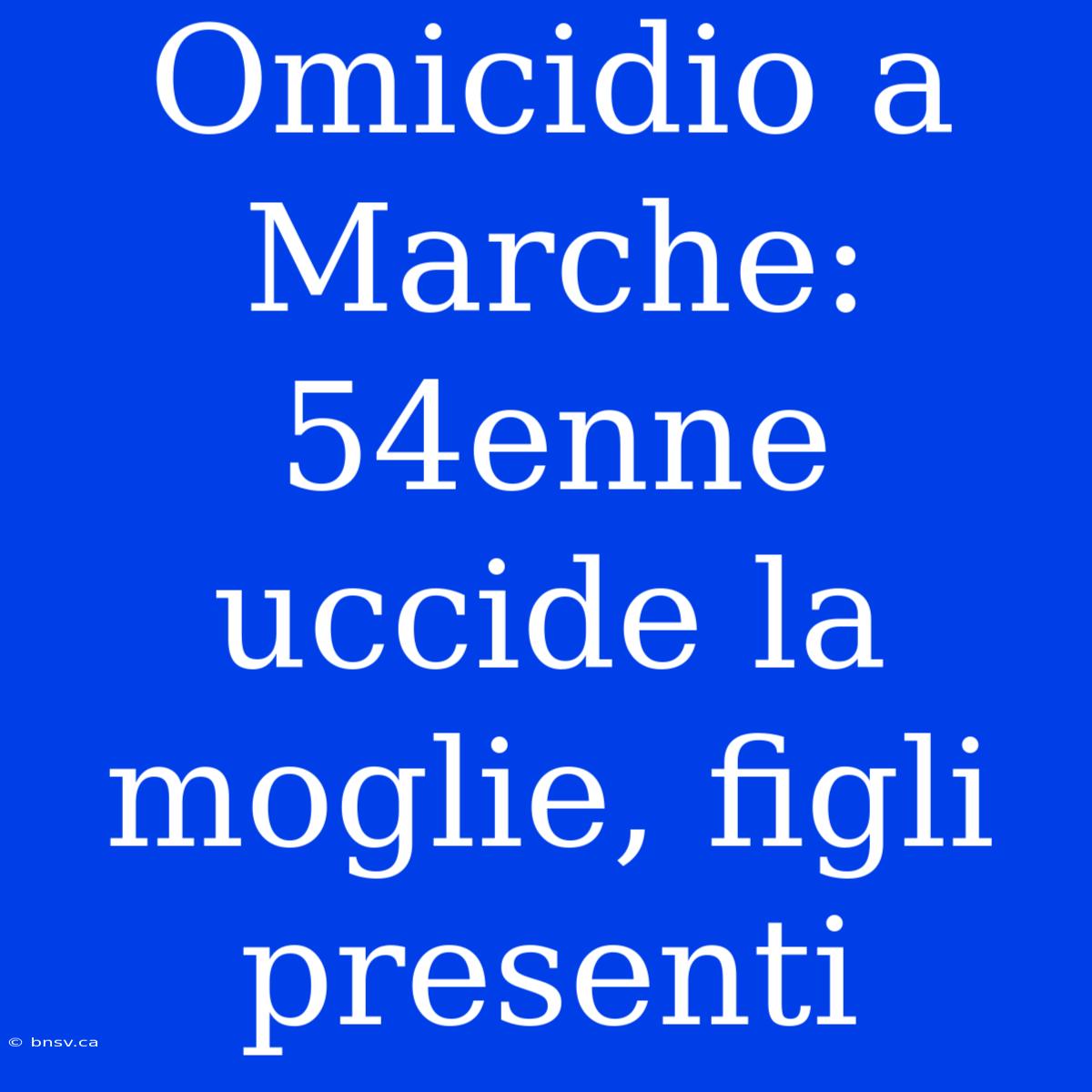 Omicidio A Marche: 54enne Uccide La Moglie, Figli Presenti