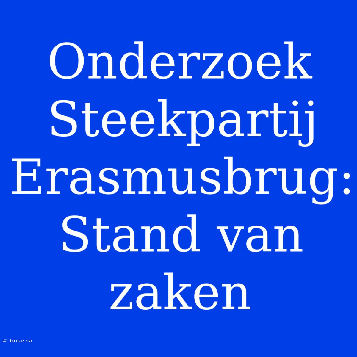 Onderzoek Steekpartij Erasmusbrug: Stand Van Zaken