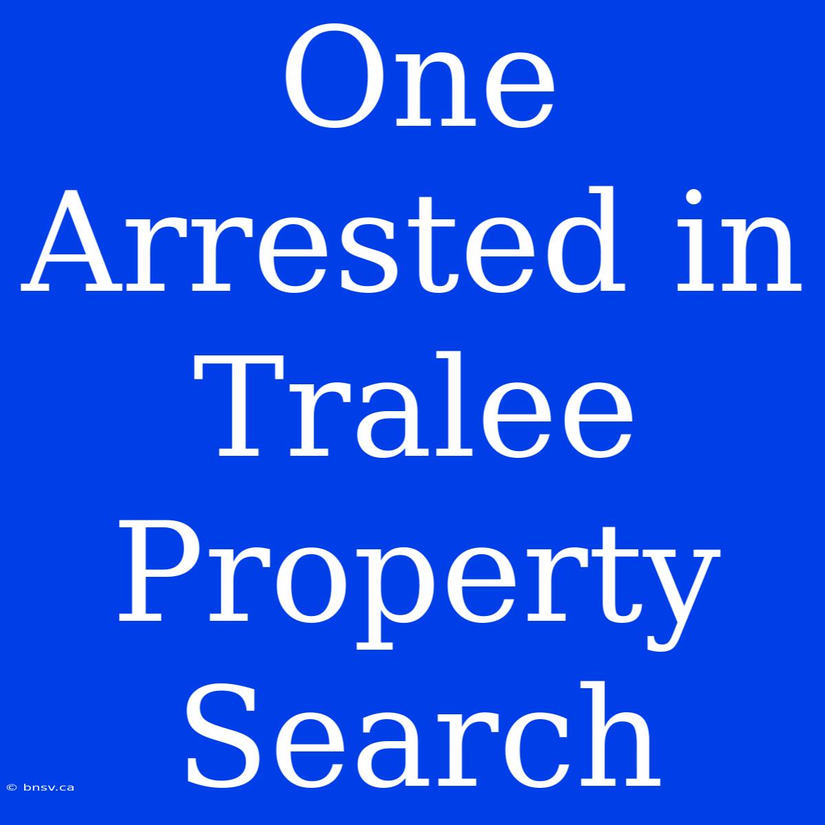 One Arrested In Tralee Property Search