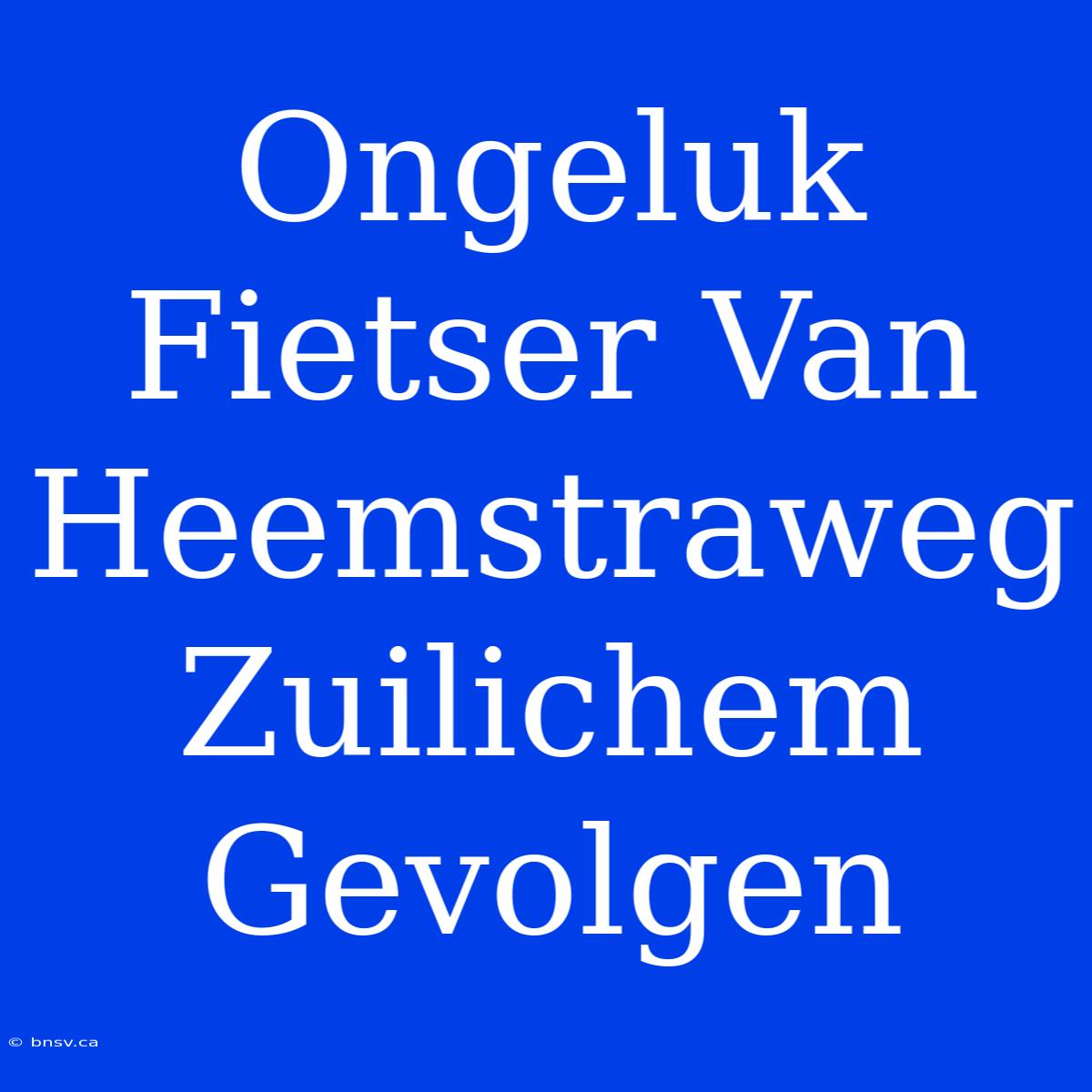 Ongeluk Fietser Van Heemstraweg Zuilichem Gevolgen