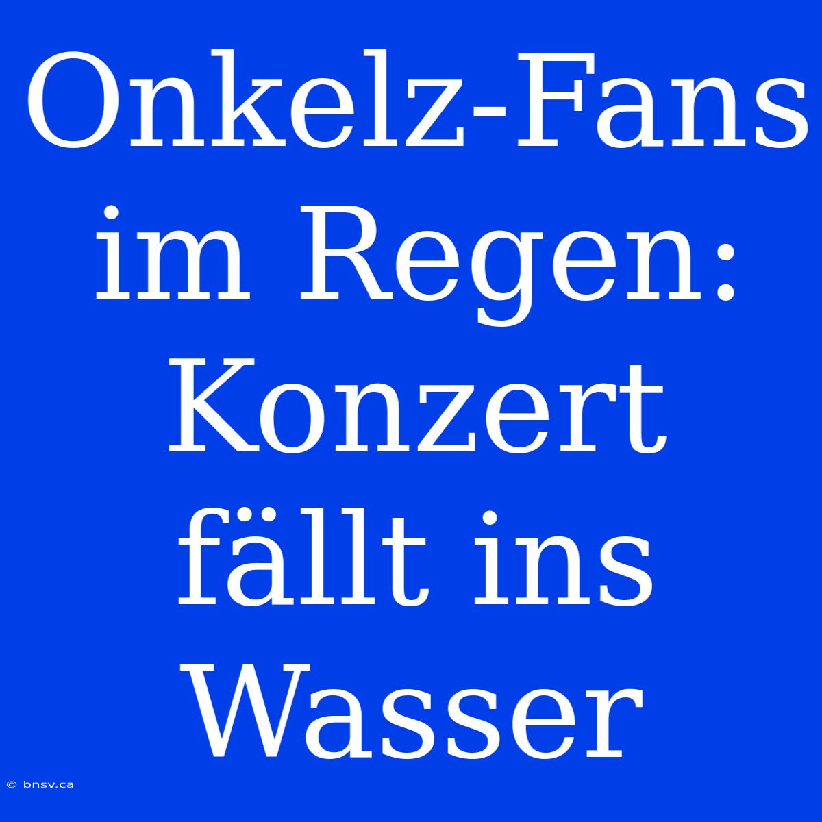 Onkelz-Fans Im Regen: Konzert Fällt Ins Wasser