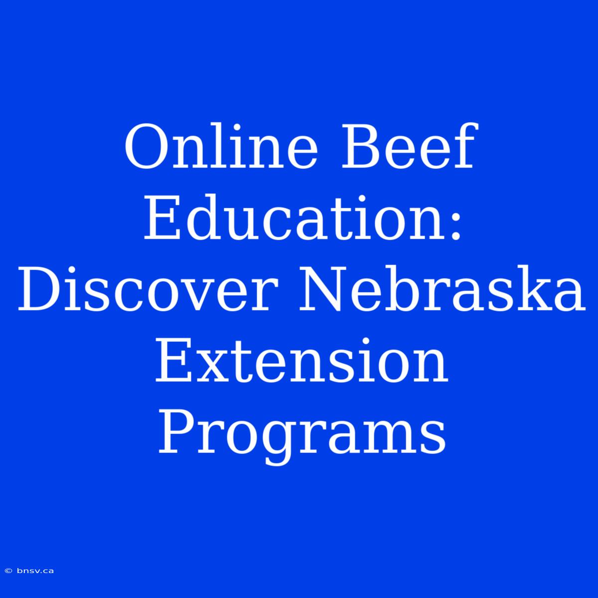 Online Beef Education: Discover Nebraska Extension Programs