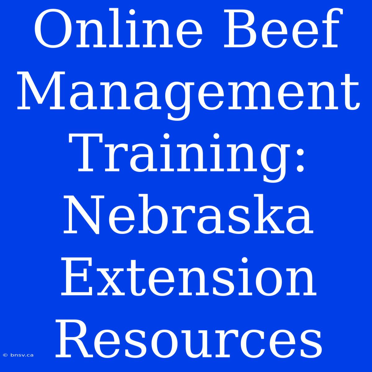 Online Beef Management Training: Nebraska Extension Resources