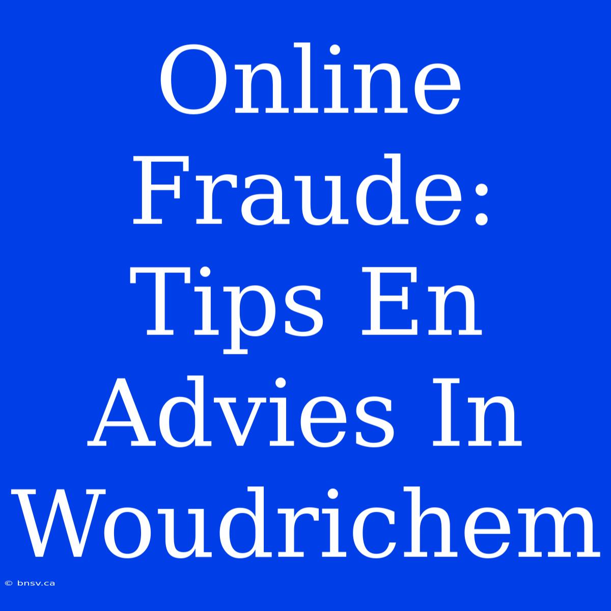 Online Fraude: Tips En Advies In Woudrichem