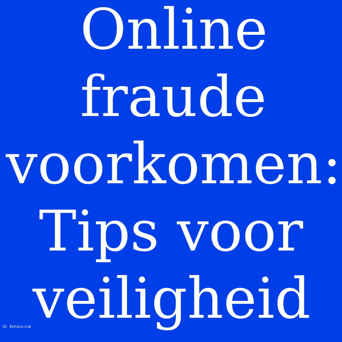 Online Fraude Voorkomen: Tips Voor Veiligheid