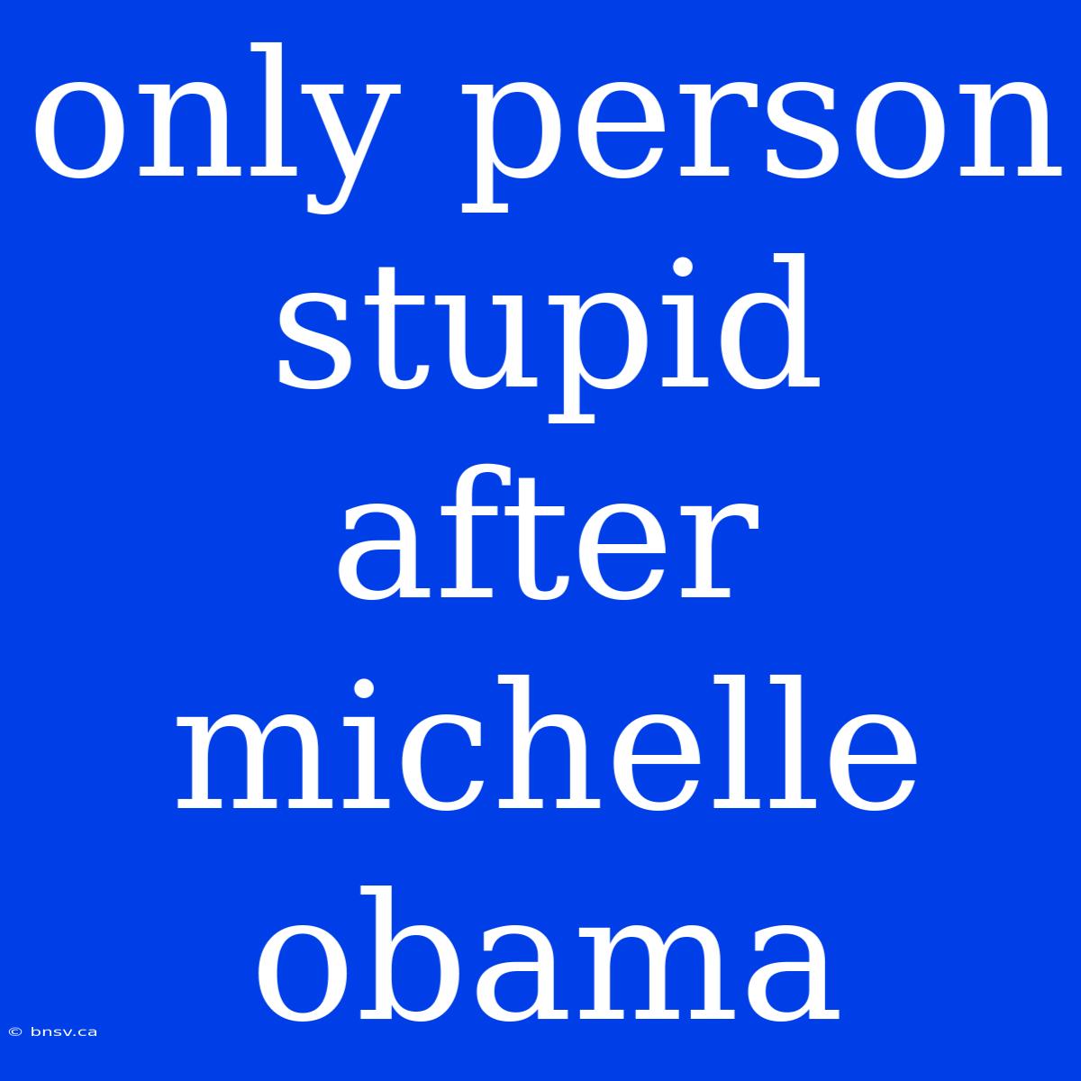 Only Person Stupid After Michelle Obama