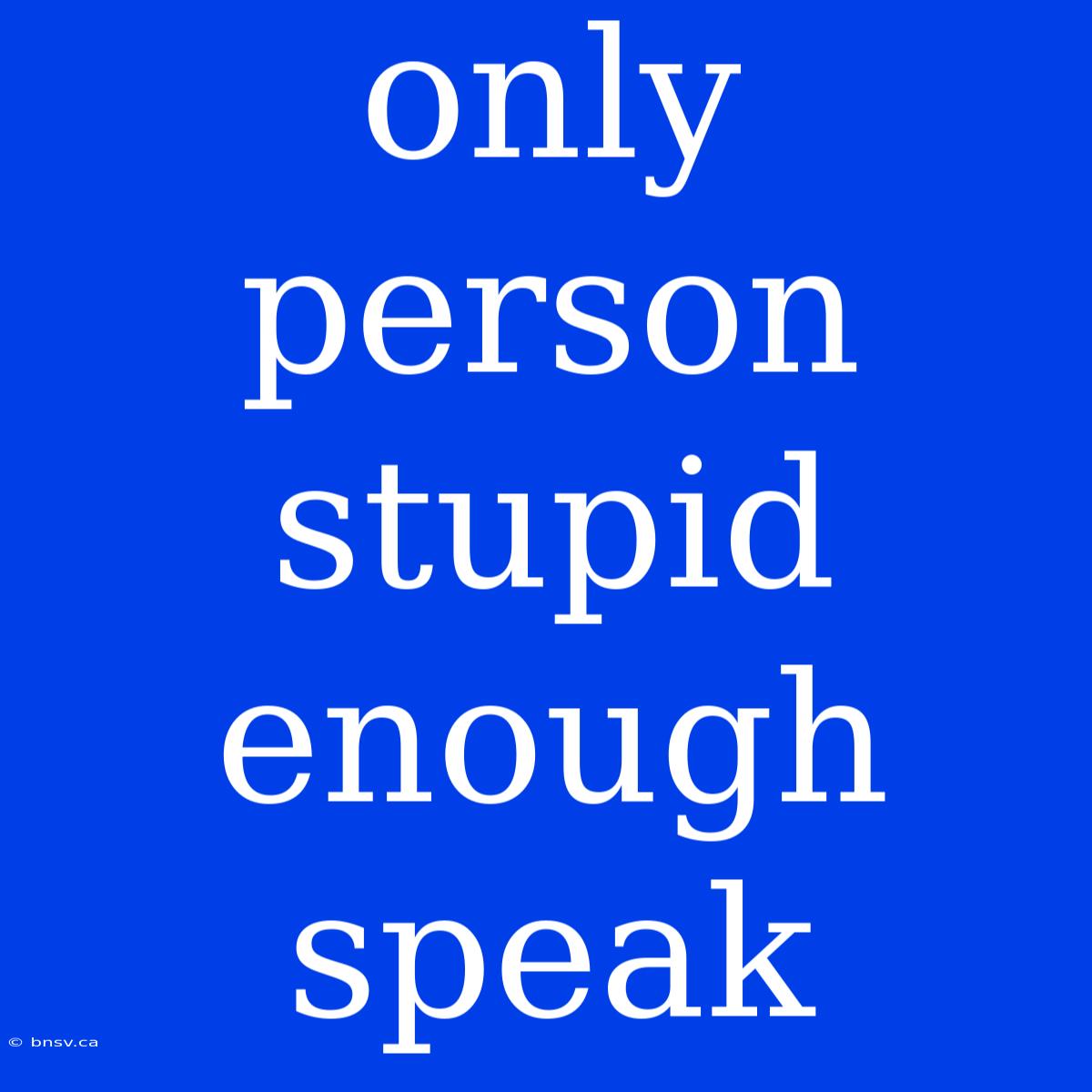 Only Person Stupid Enough Speak