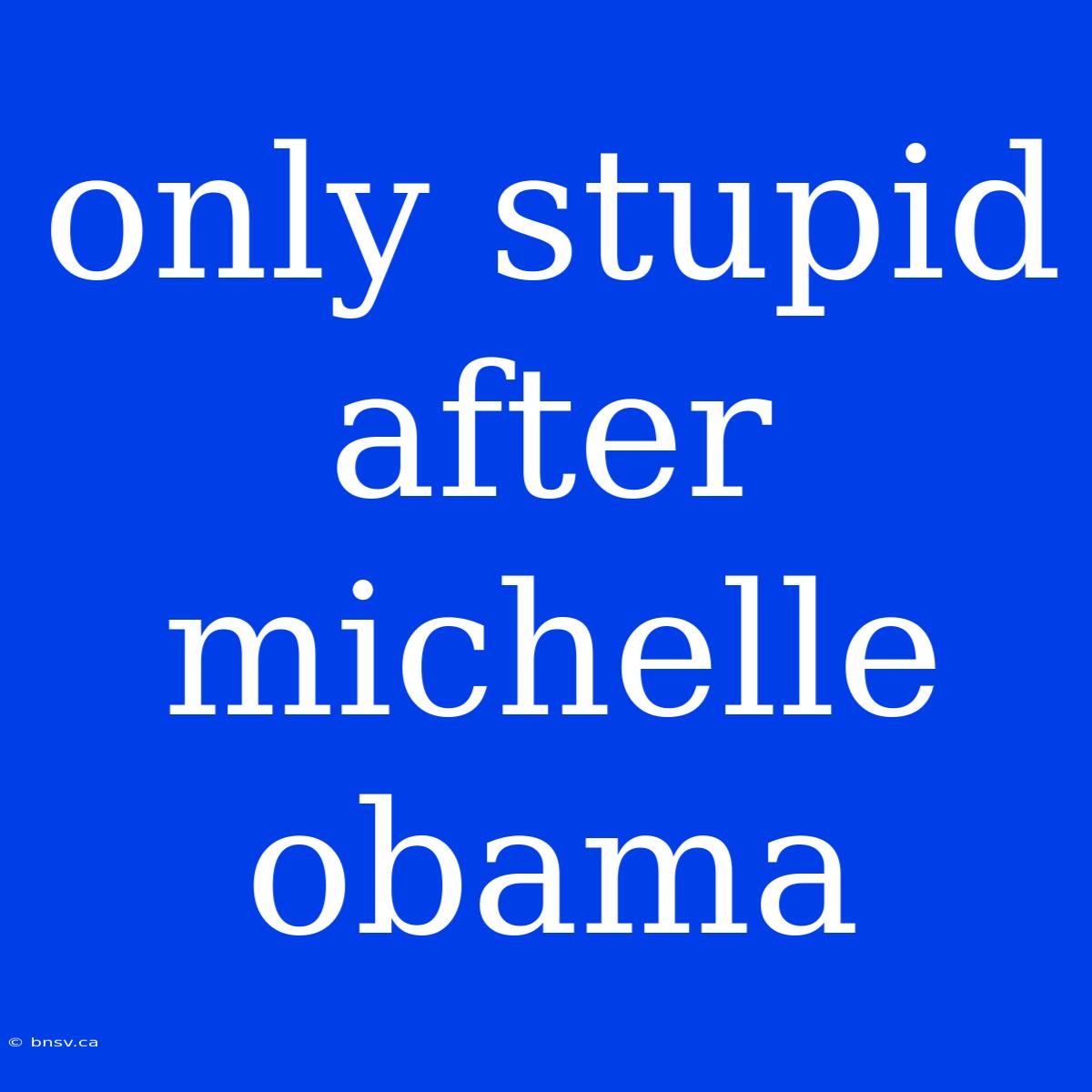 Only Stupid After Michelle Obama