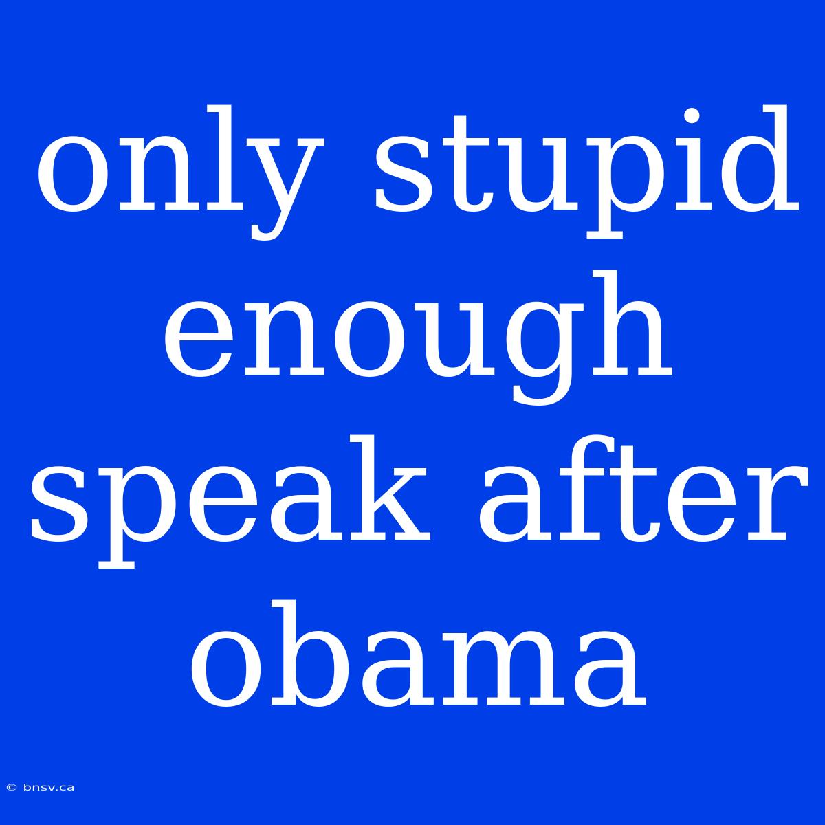 Only Stupid Enough Speak After Obama