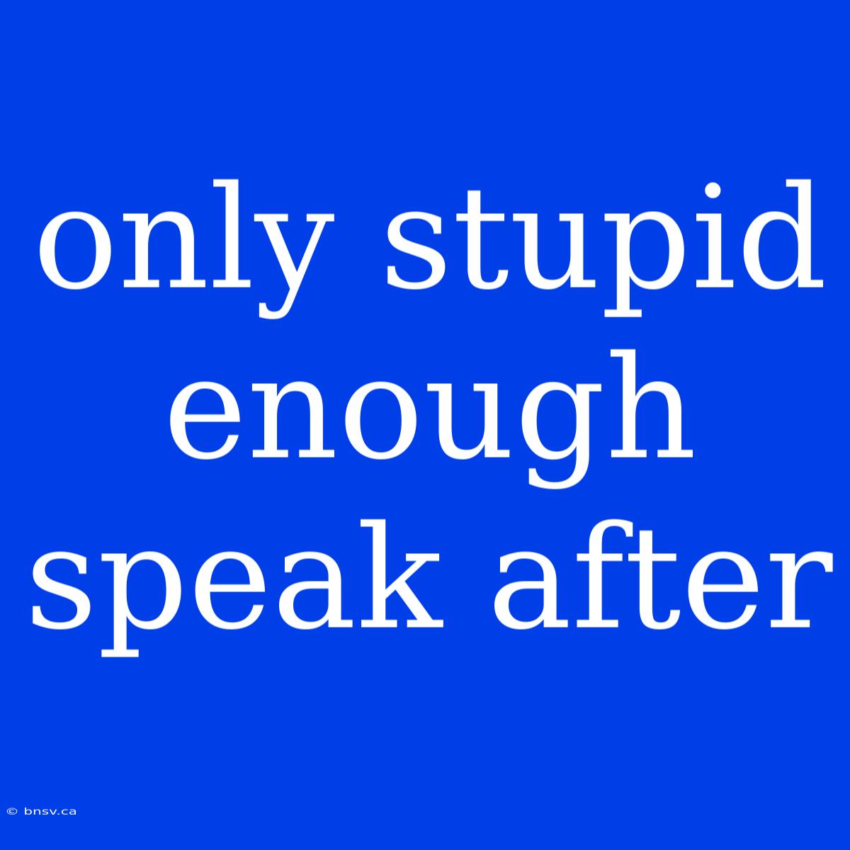 Only Stupid Enough Speak After