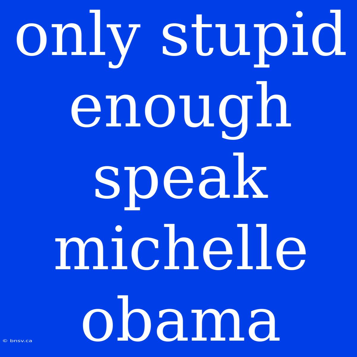 Only Stupid Enough Speak Michelle Obama