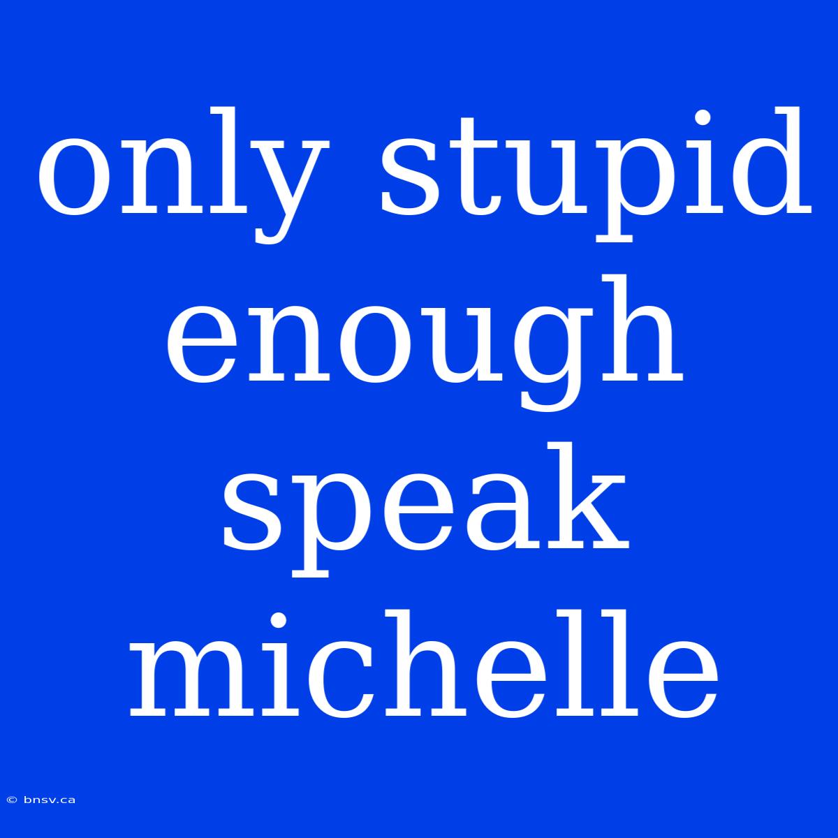 Only Stupid Enough Speak Michelle