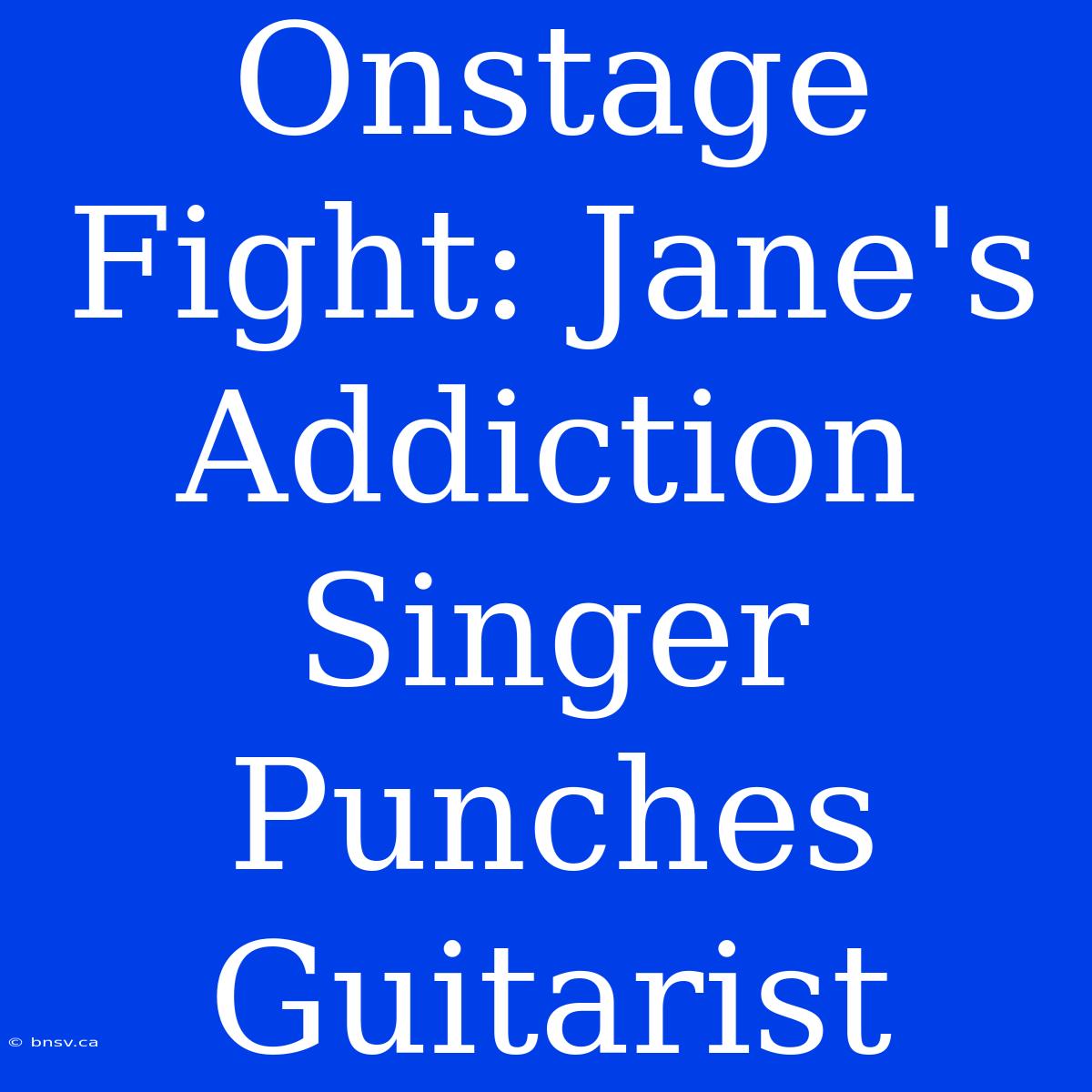 Onstage Fight: Jane's Addiction Singer Punches Guitarist