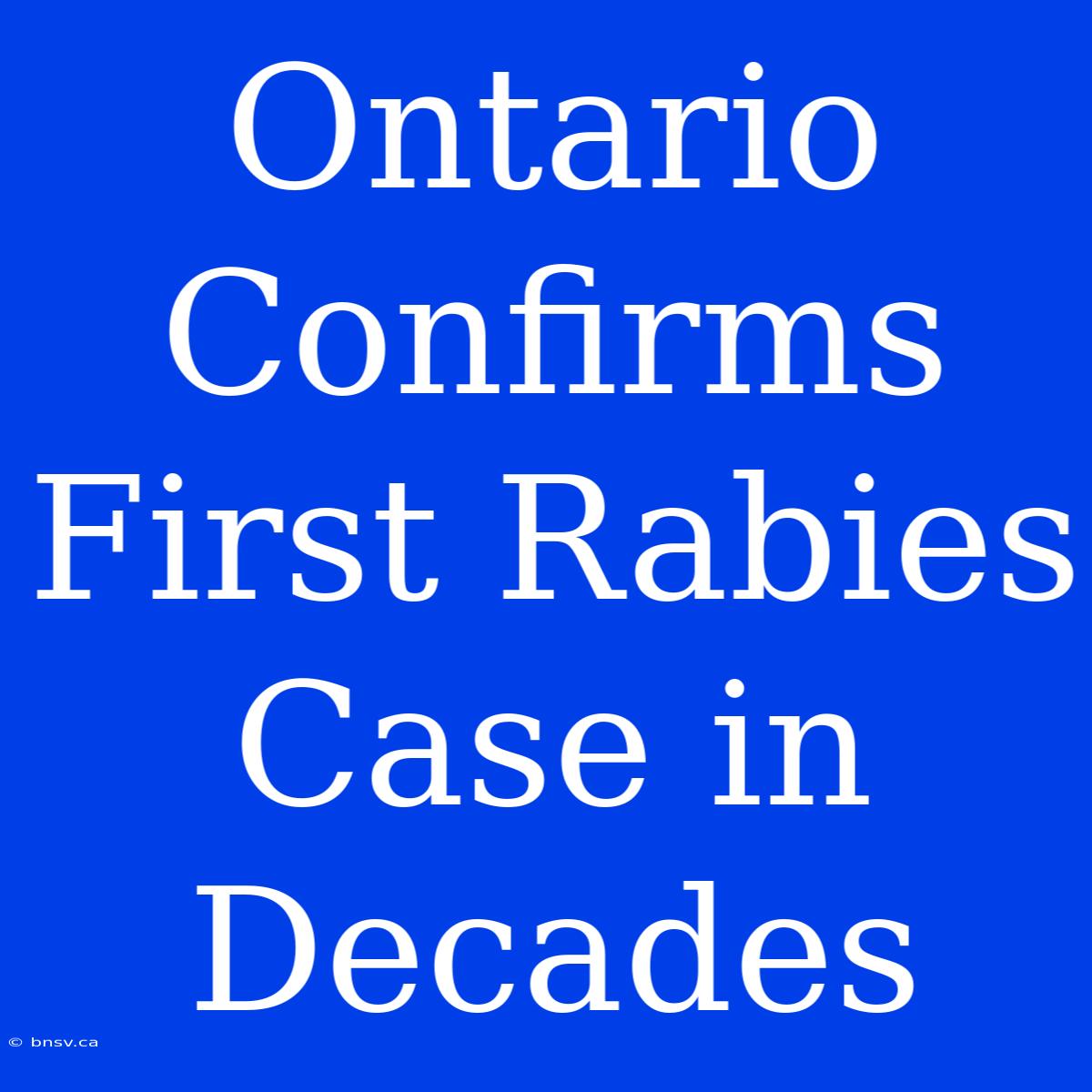 Ontario Confirms First Rabies Case In Decades