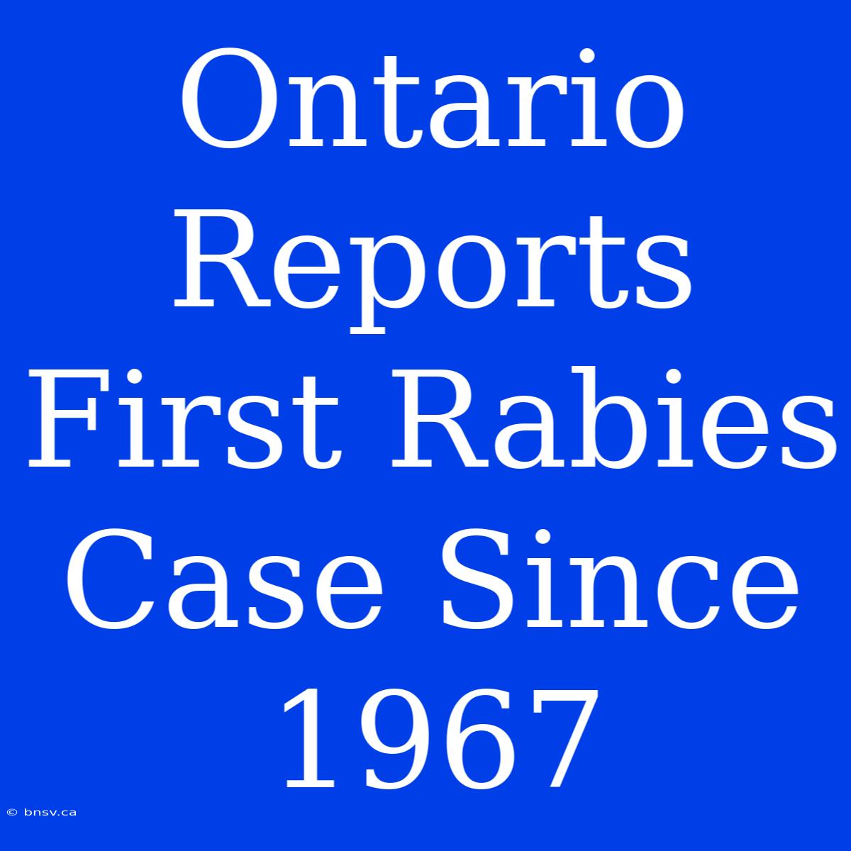 Ontario Reports First Rabies Case Since 1967