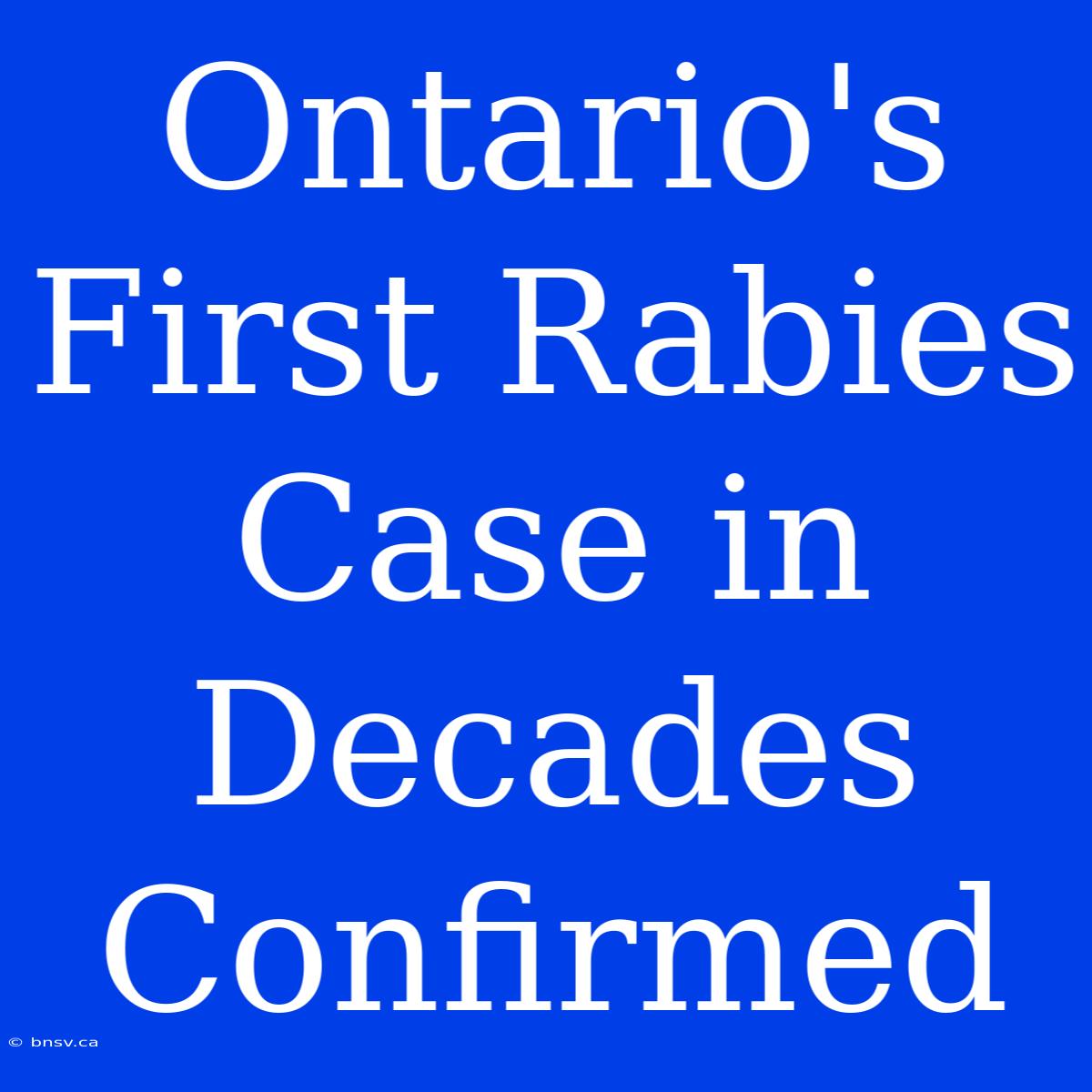 Ontario's First Rabies Case In Decades Confirmed